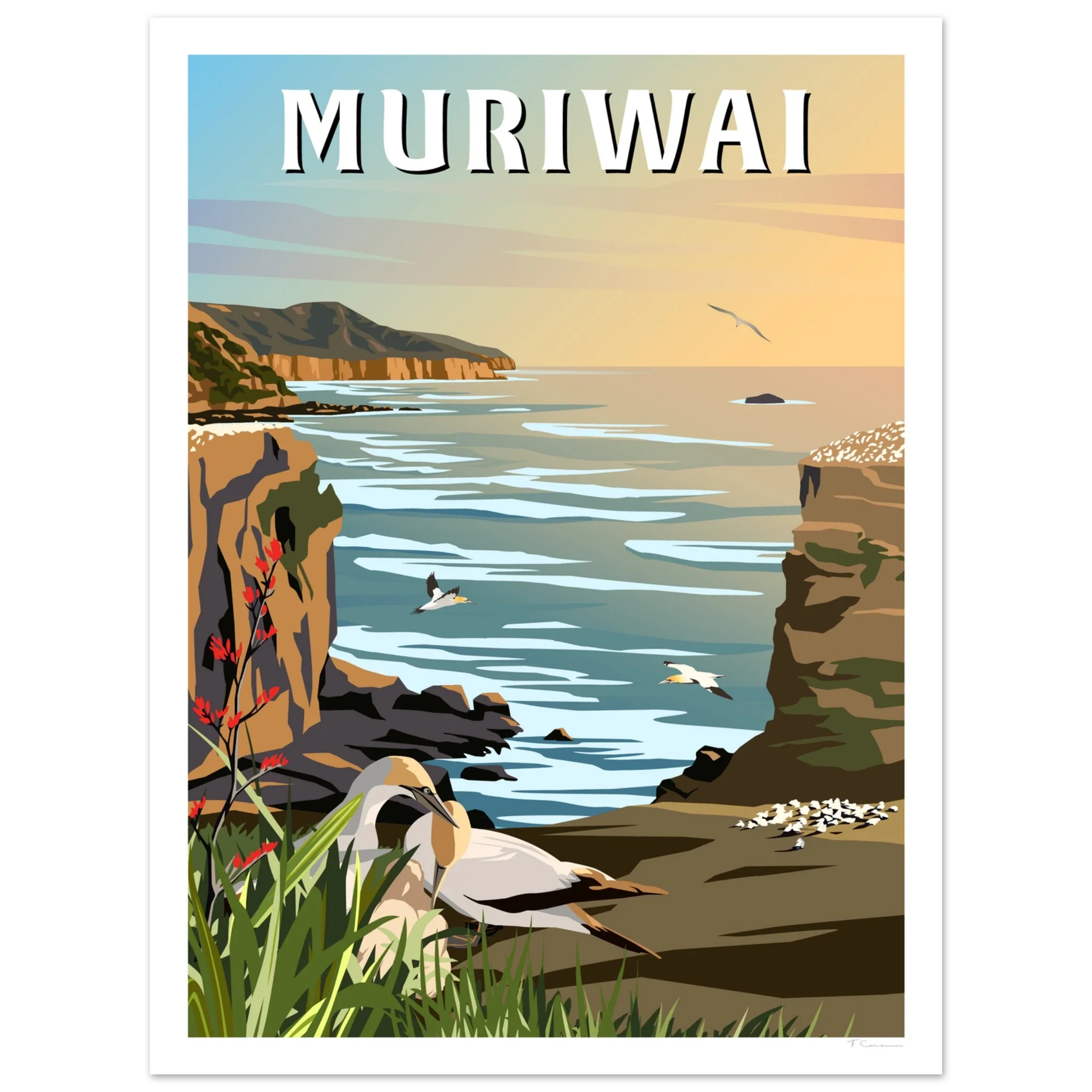 Muriwai Gannet Colony - Travel Poster of New Zealand