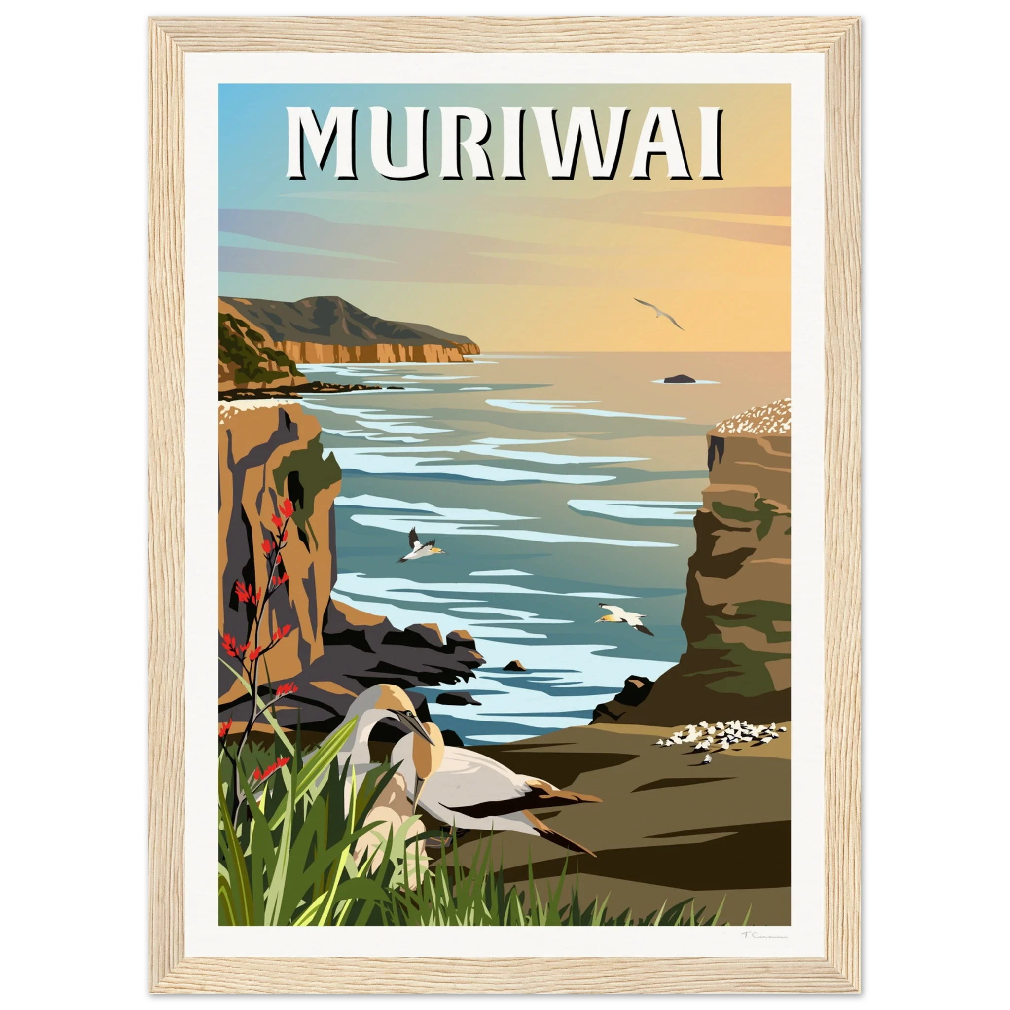 Muriwai Gannet Colony - Travel Poster of New Zealand