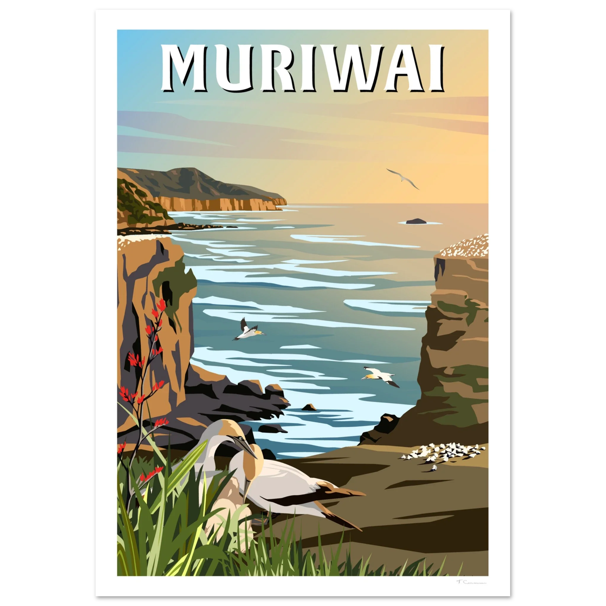 Muriwai Gannet Colony - Travel Poster of New Zealand