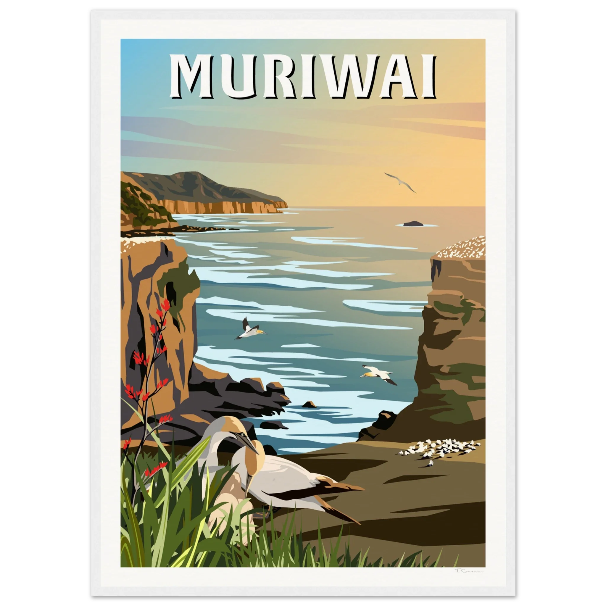 Muriwai Gannet Colony - Travel Poster of New Zealand