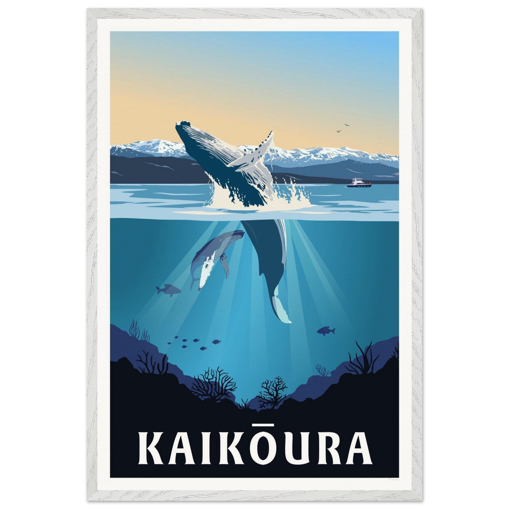 whale breaching at kaikoura New Zealand - Tiffany consumi - via home