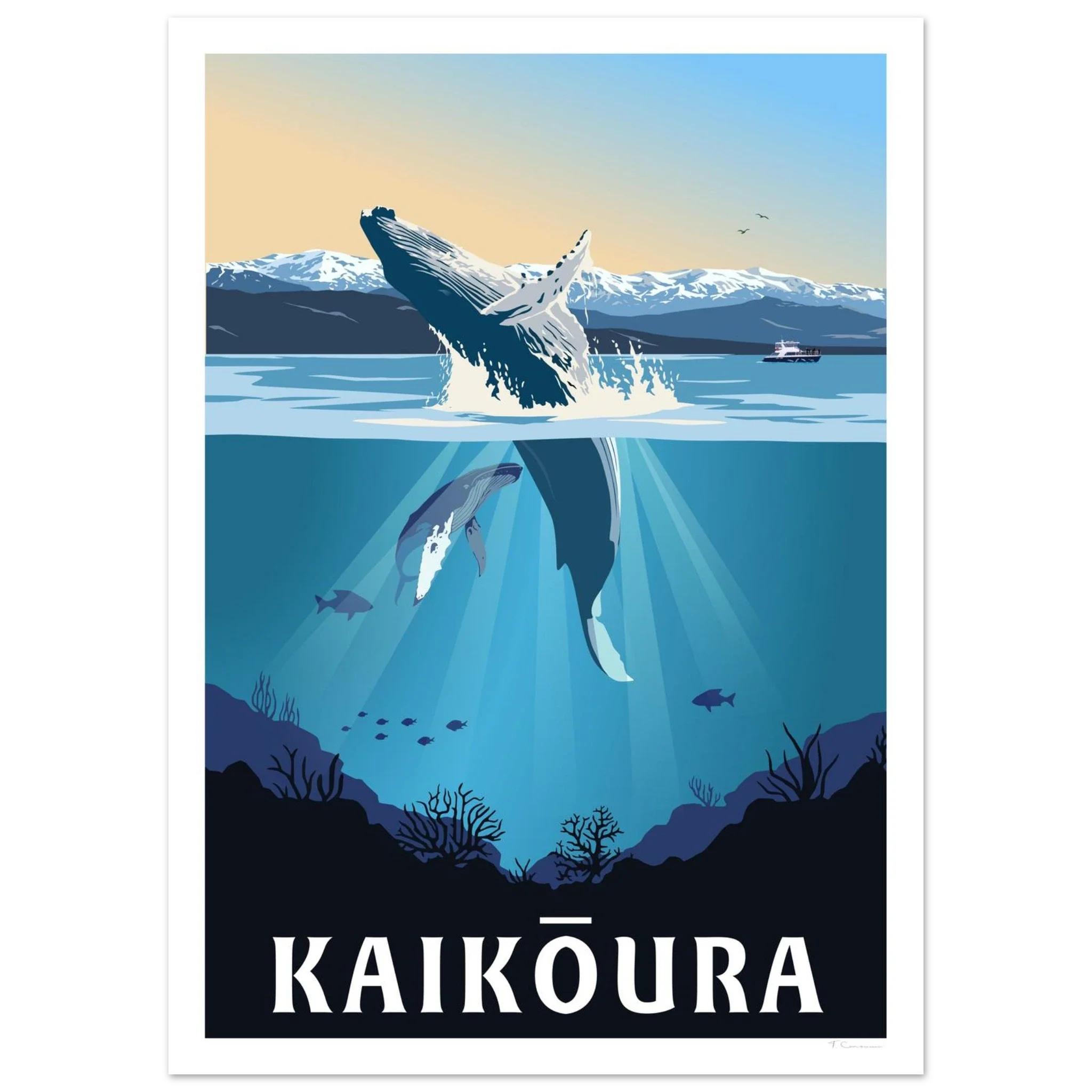 Kaikōura Whale Watching Travel Poster, New Zealand