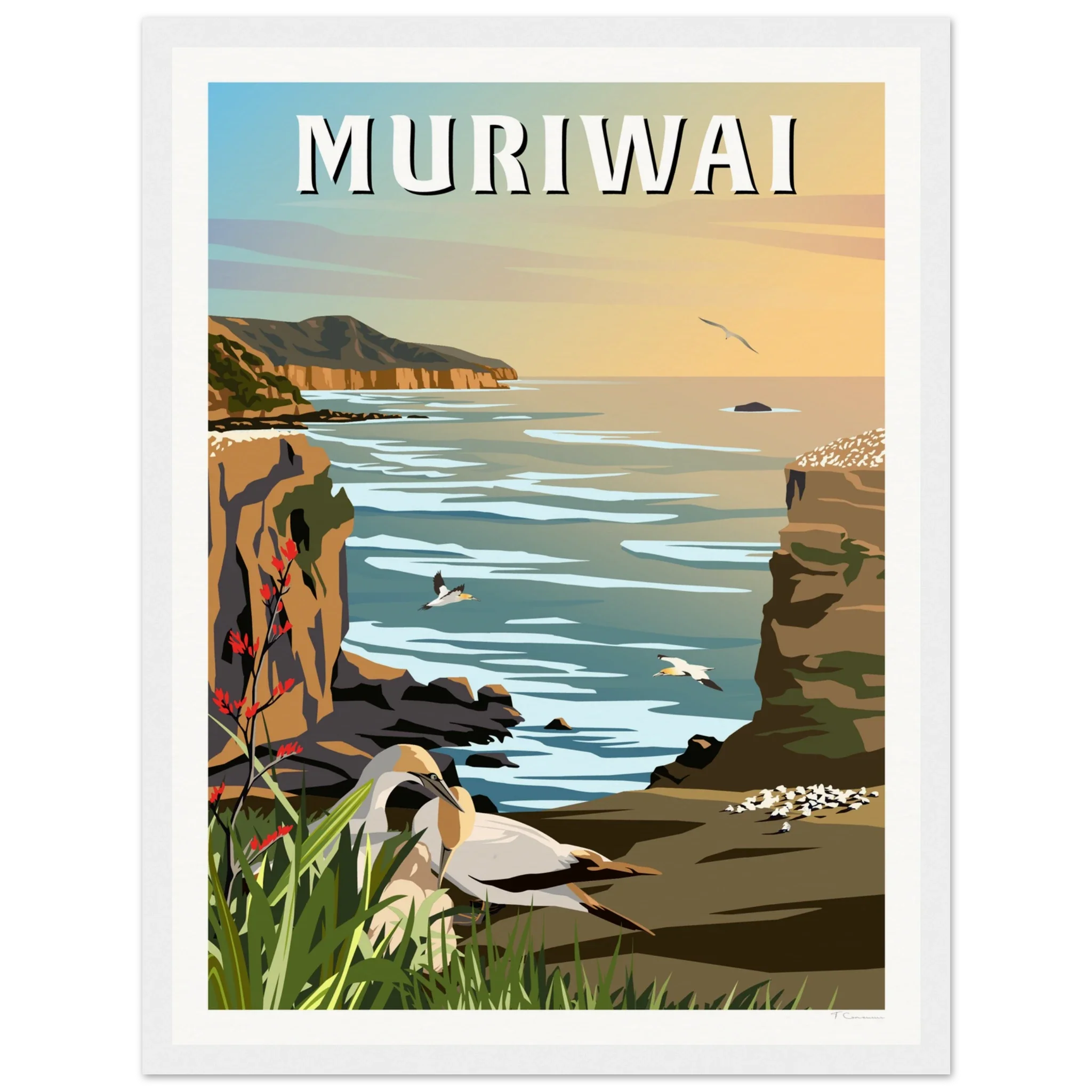 Muriwai Gannet Colony - Travel Poster of New Zealand