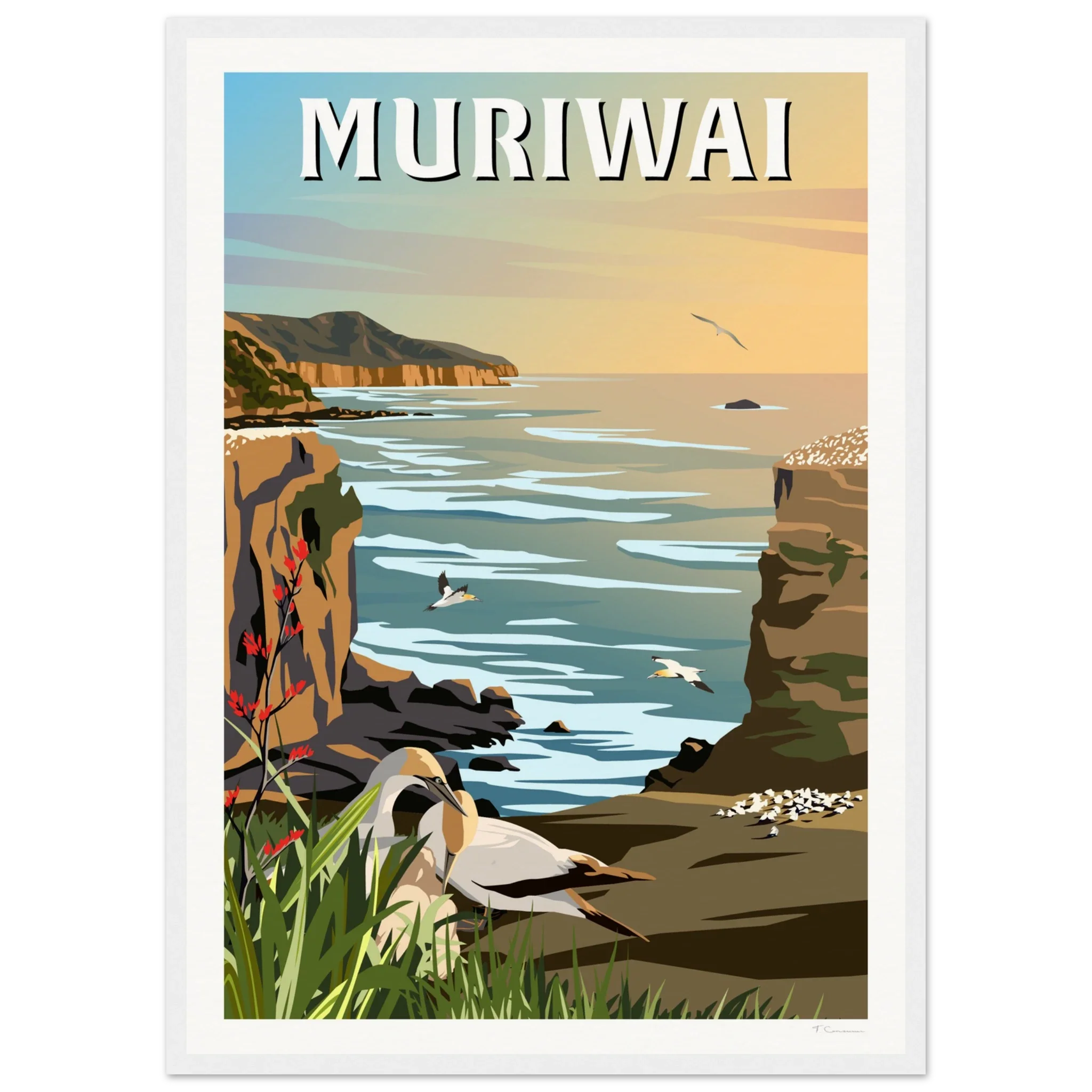 Muriwai Gannet Colony - Travel Poster of New Zealand
