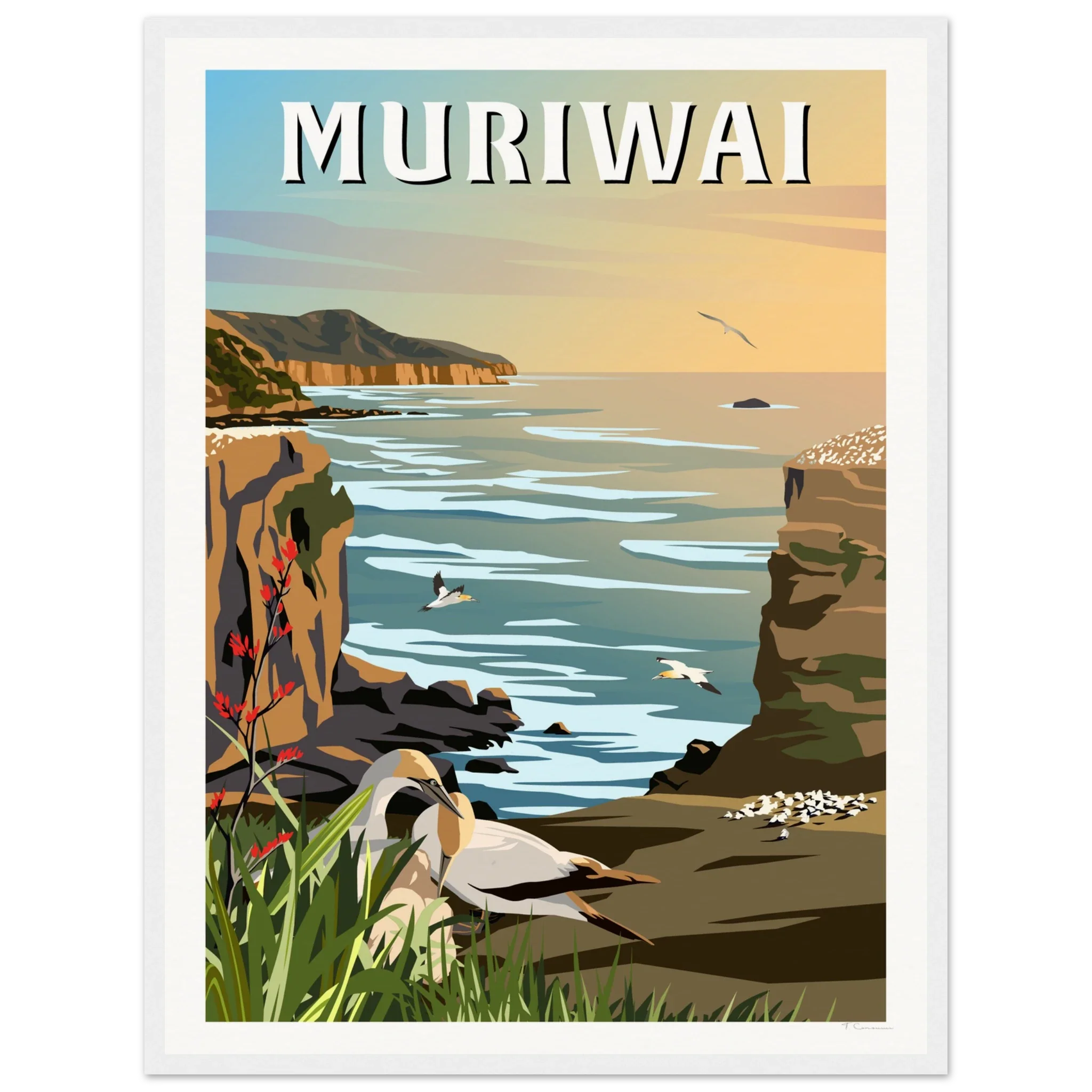 Muriwai Gannet Colony - Travel Poster of New Zealand