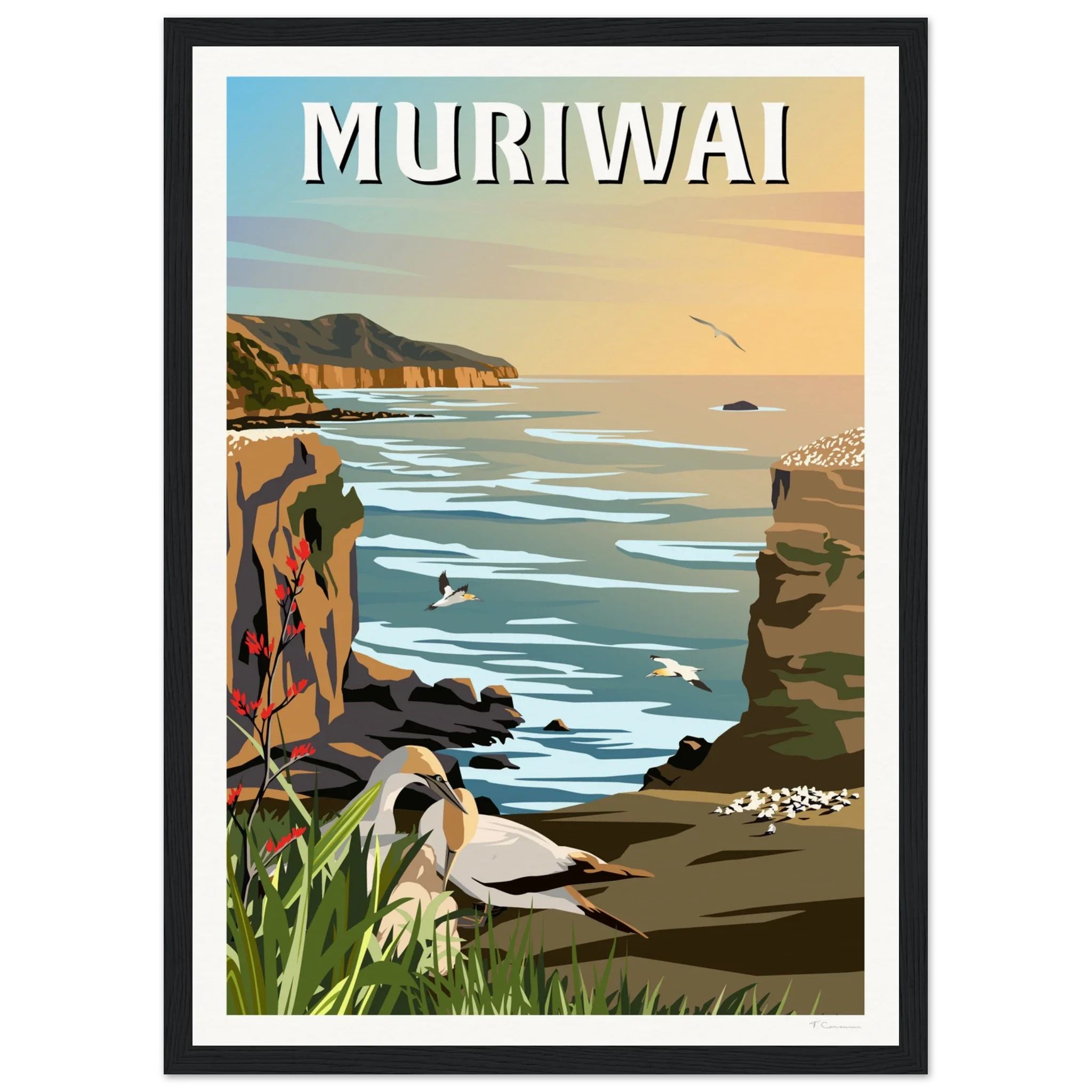 Muriwai Gannet Colony - Travel Poster of New Zealand