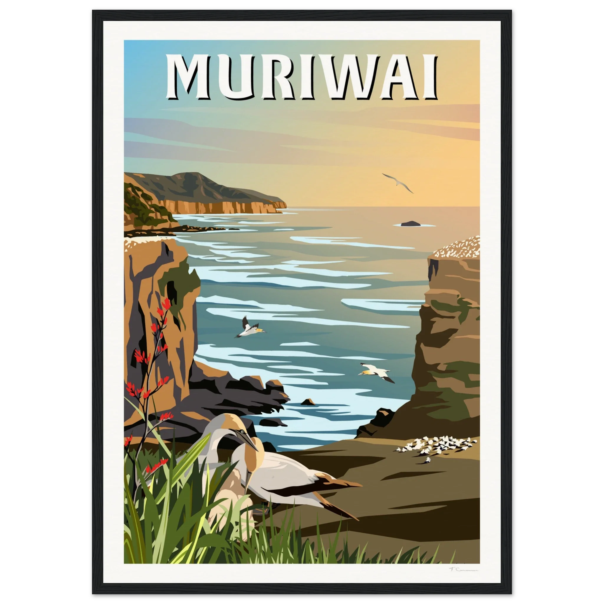 Muriwai Gannet Colony - Travel Poster of New Zealand