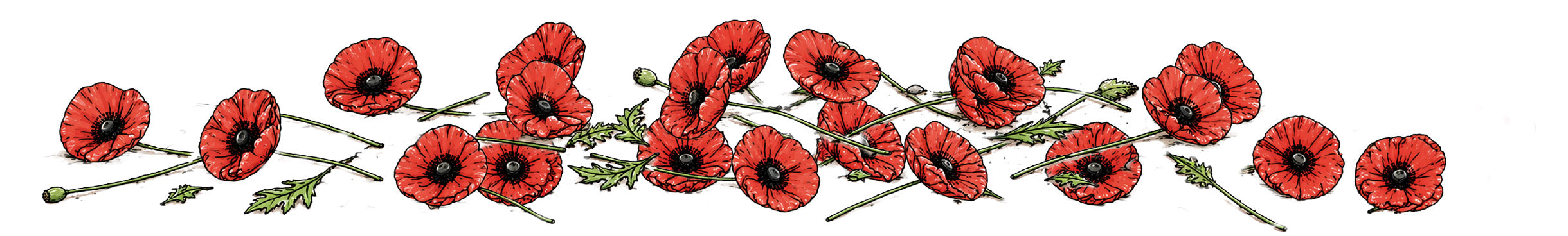 Poppies scattered on the ground - Artevo