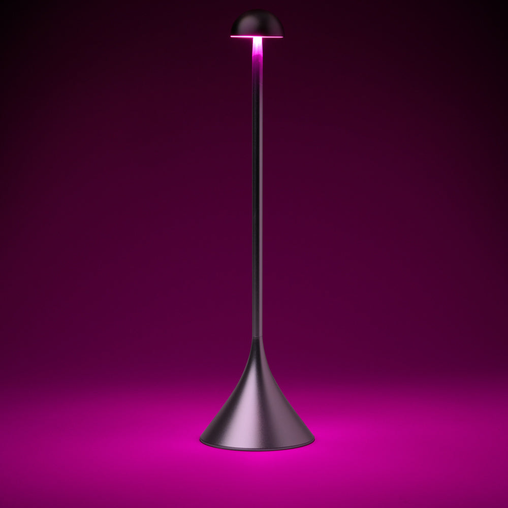 Lexon Steli Dome Rechargeable Lamp - Aluminium