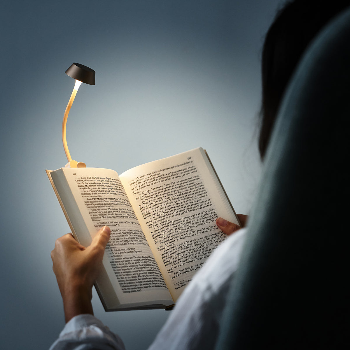 Lexon Clip-on Book Light