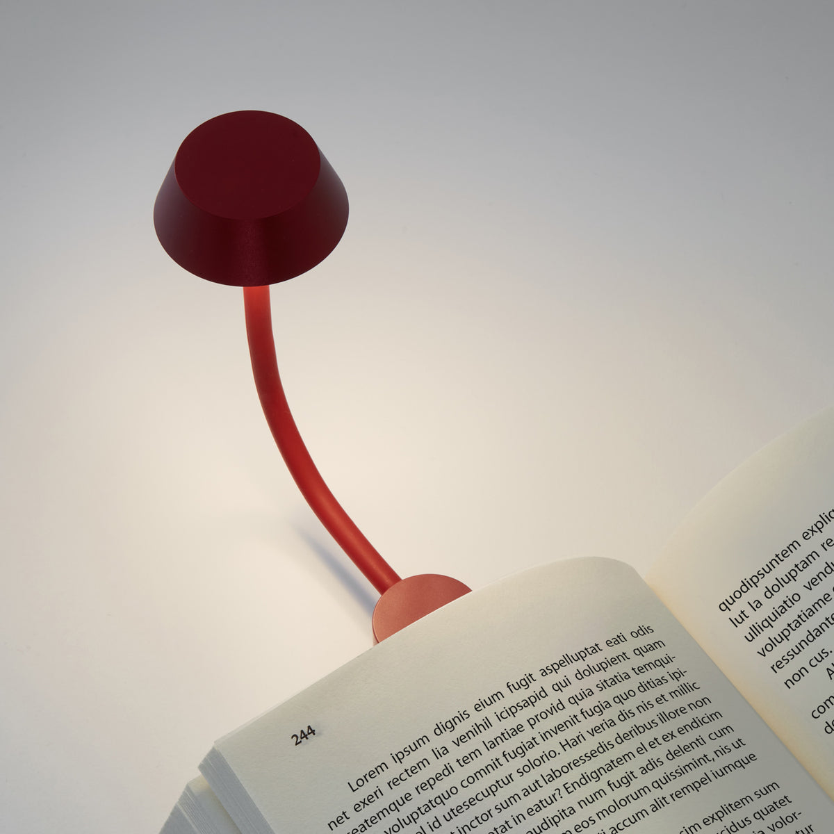 Lexon Clip-on Book Light