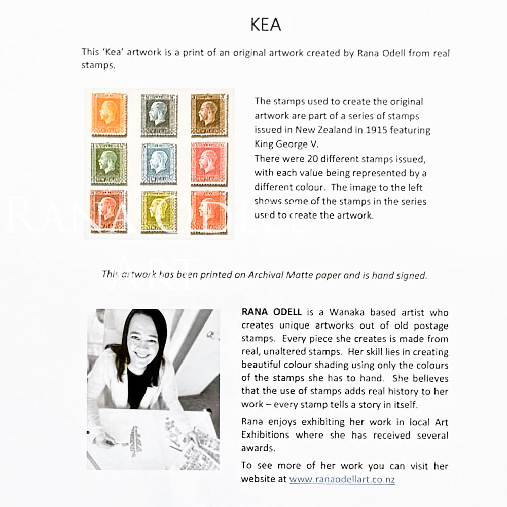 Rana Odell Art Kea A4 Print