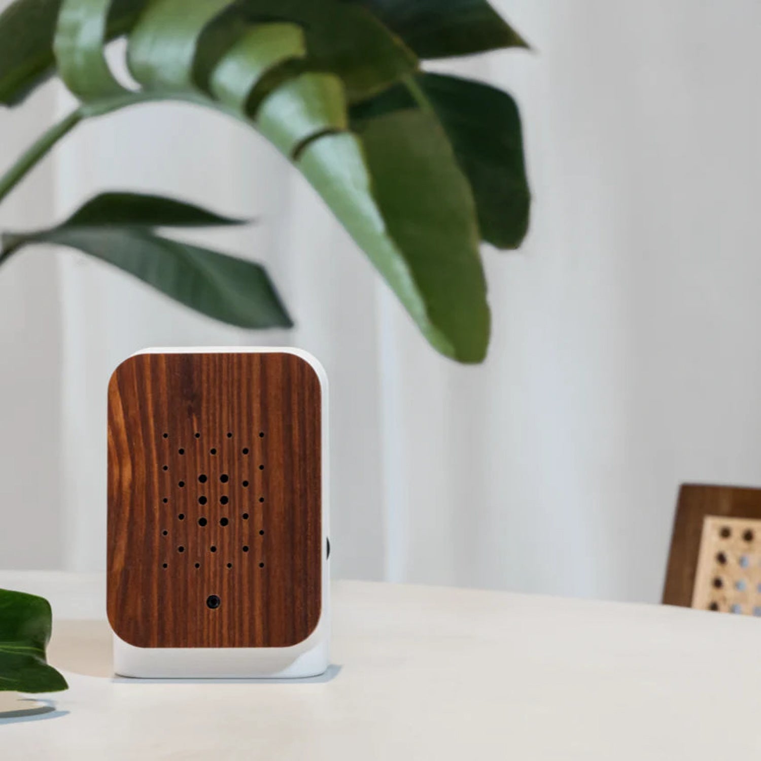 Relaxound Jungle Box