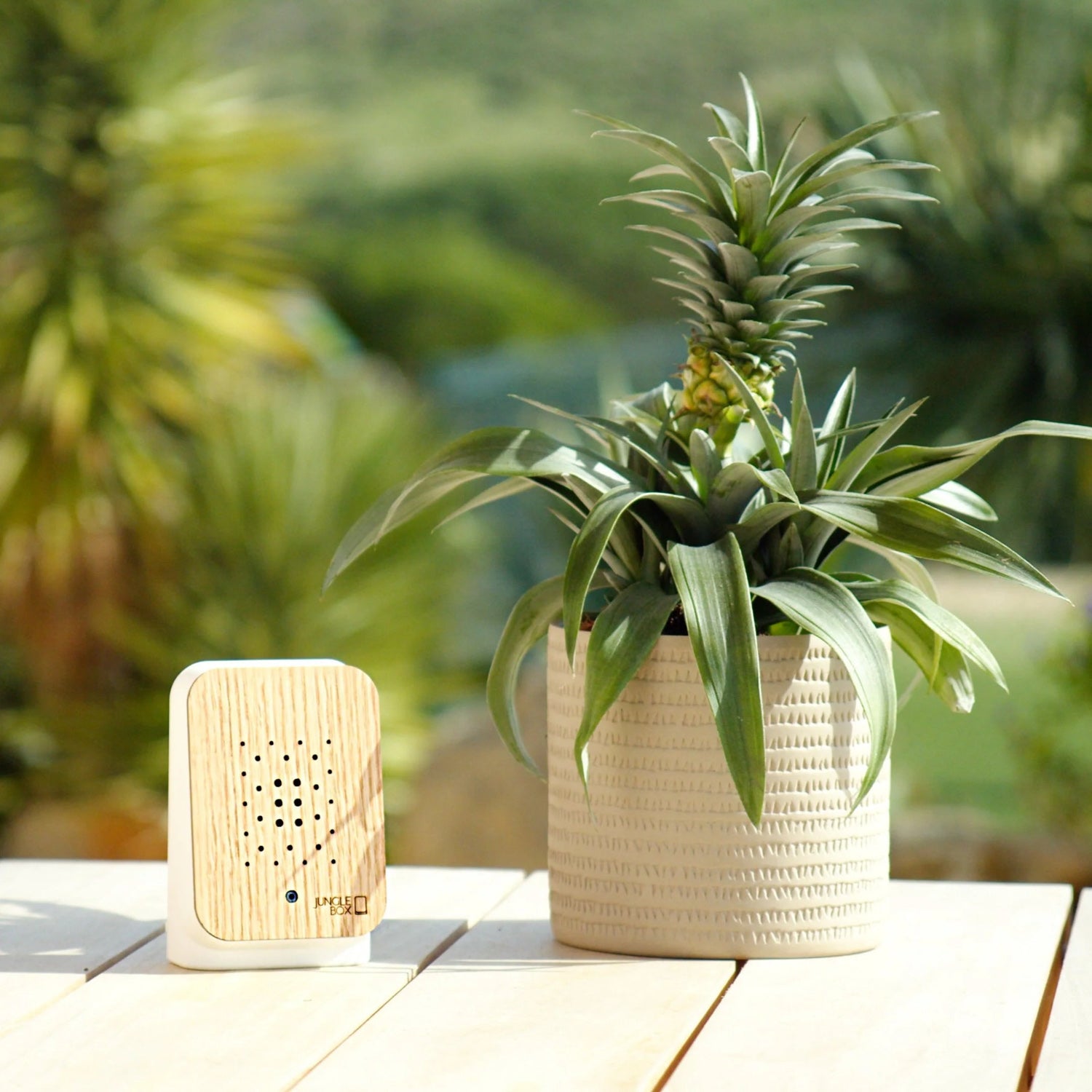Relaxound Jungle Box