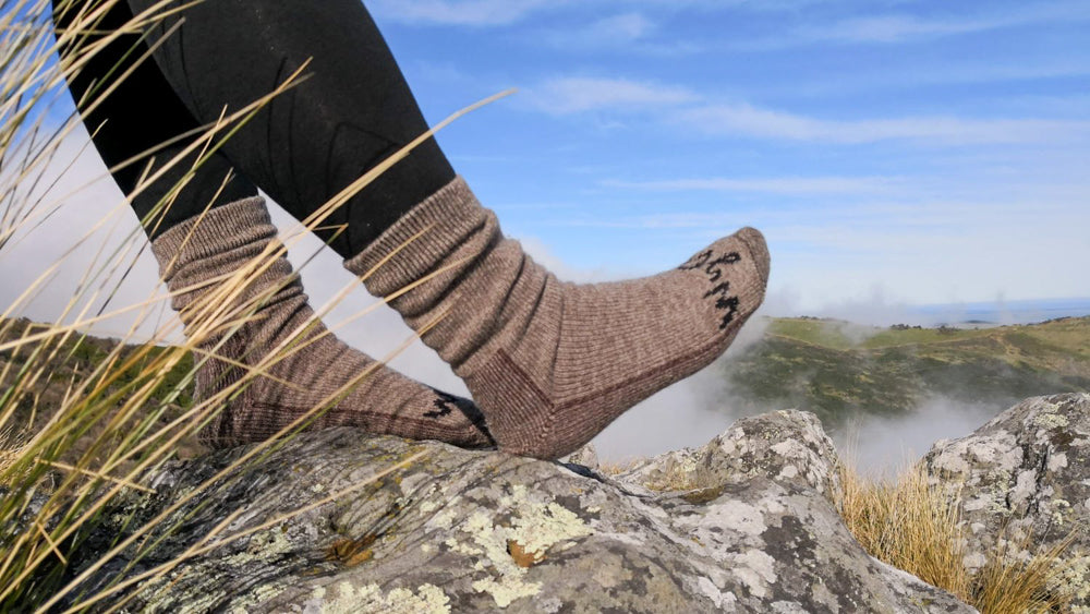 Wyld Casual socks