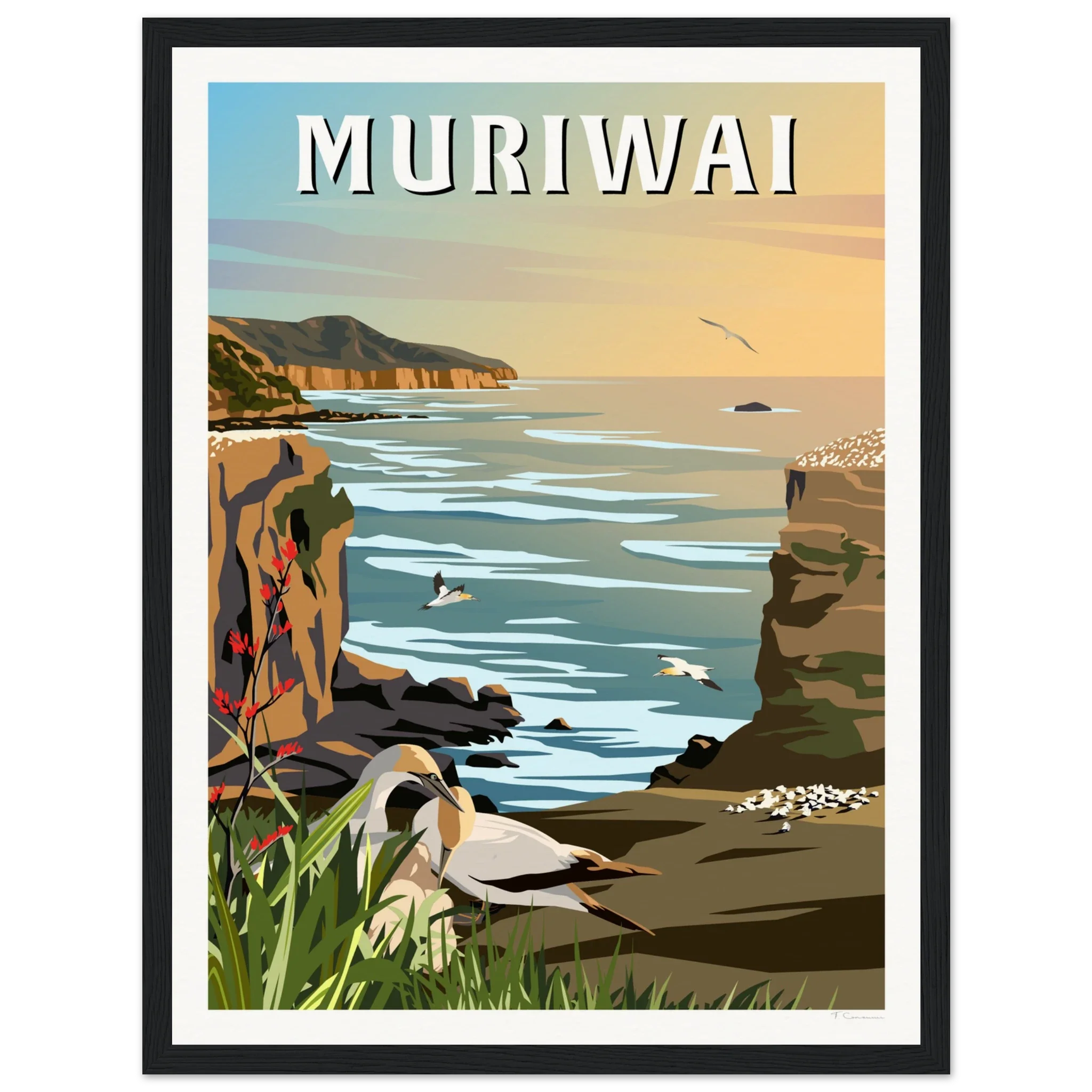 Muriwai Gannet Colony - Travel Poster of New Zealand