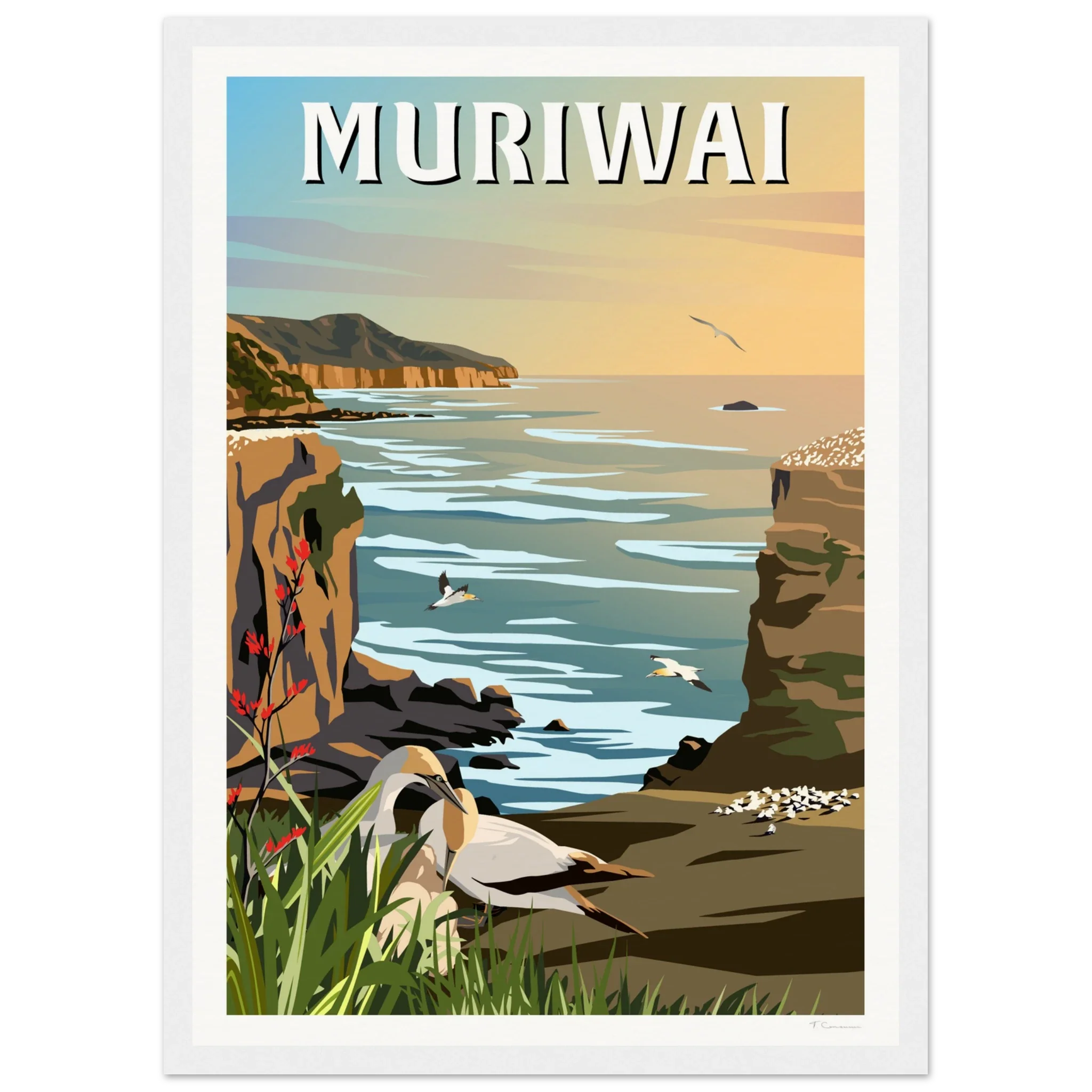 Muriwai Gannet Colony - Travel Poster of New Zealand