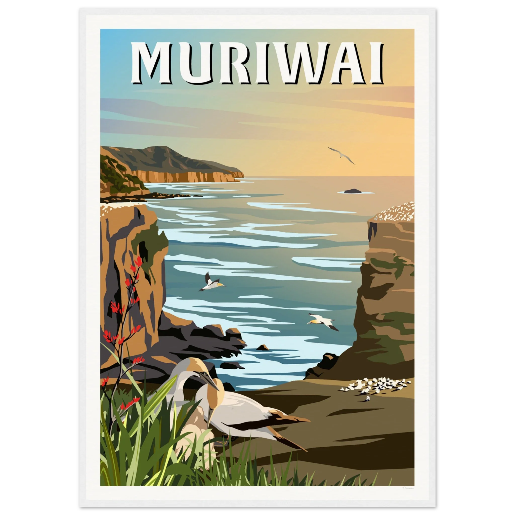 Muriwai Gannet Colony - Travel Poster of New Zealand