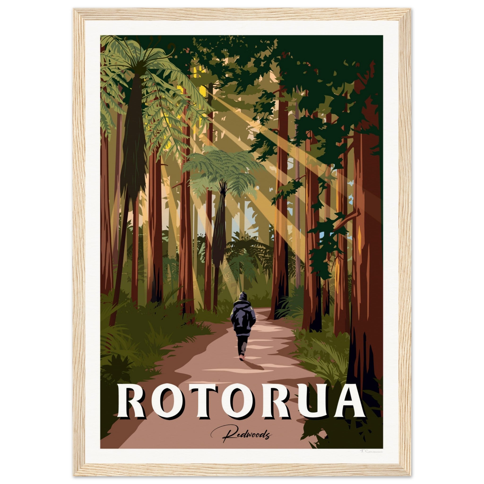 Rotorua Redwood Forest New Zealand Travel Poster