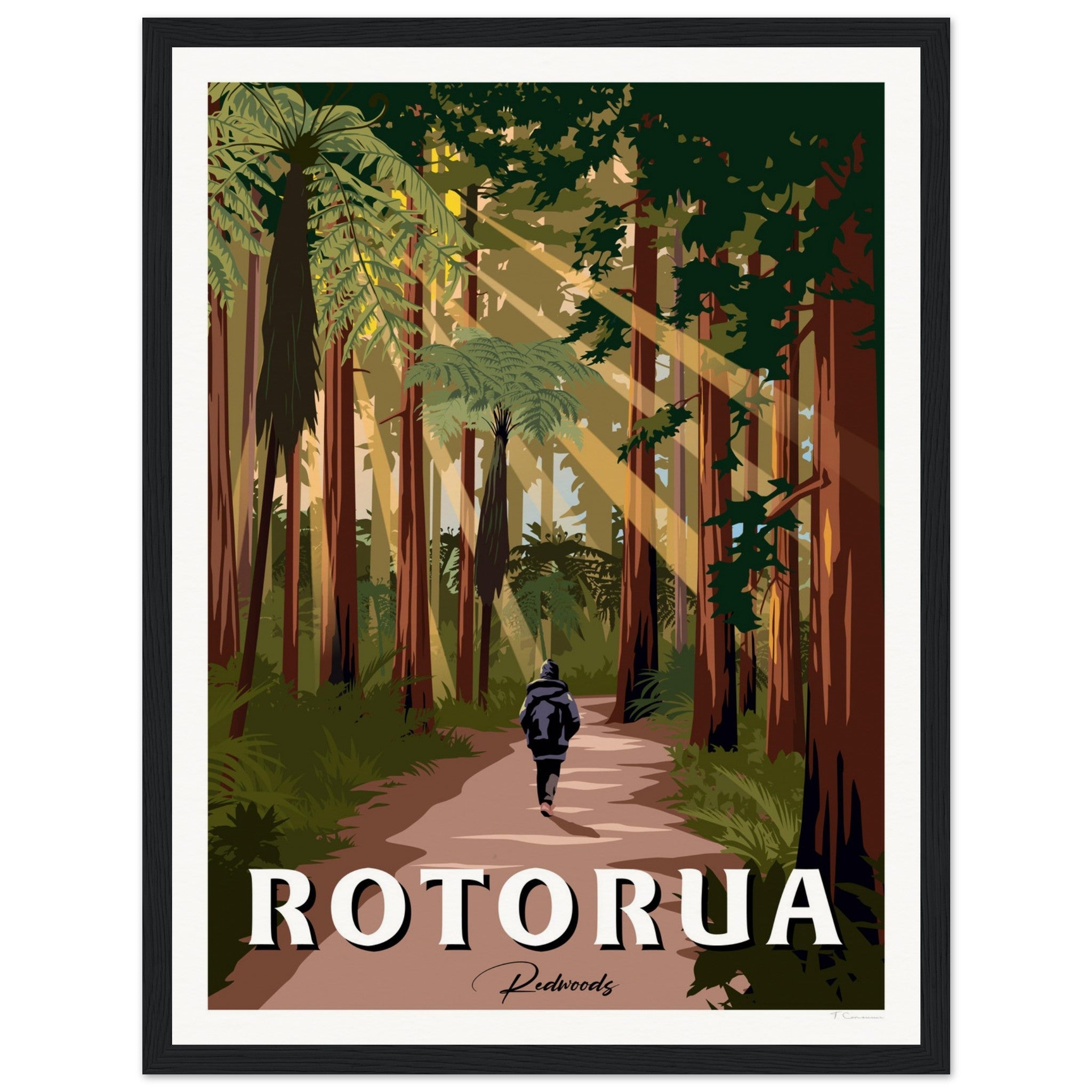 Rotorua Redwood Forest New Zealand Travel Poster
