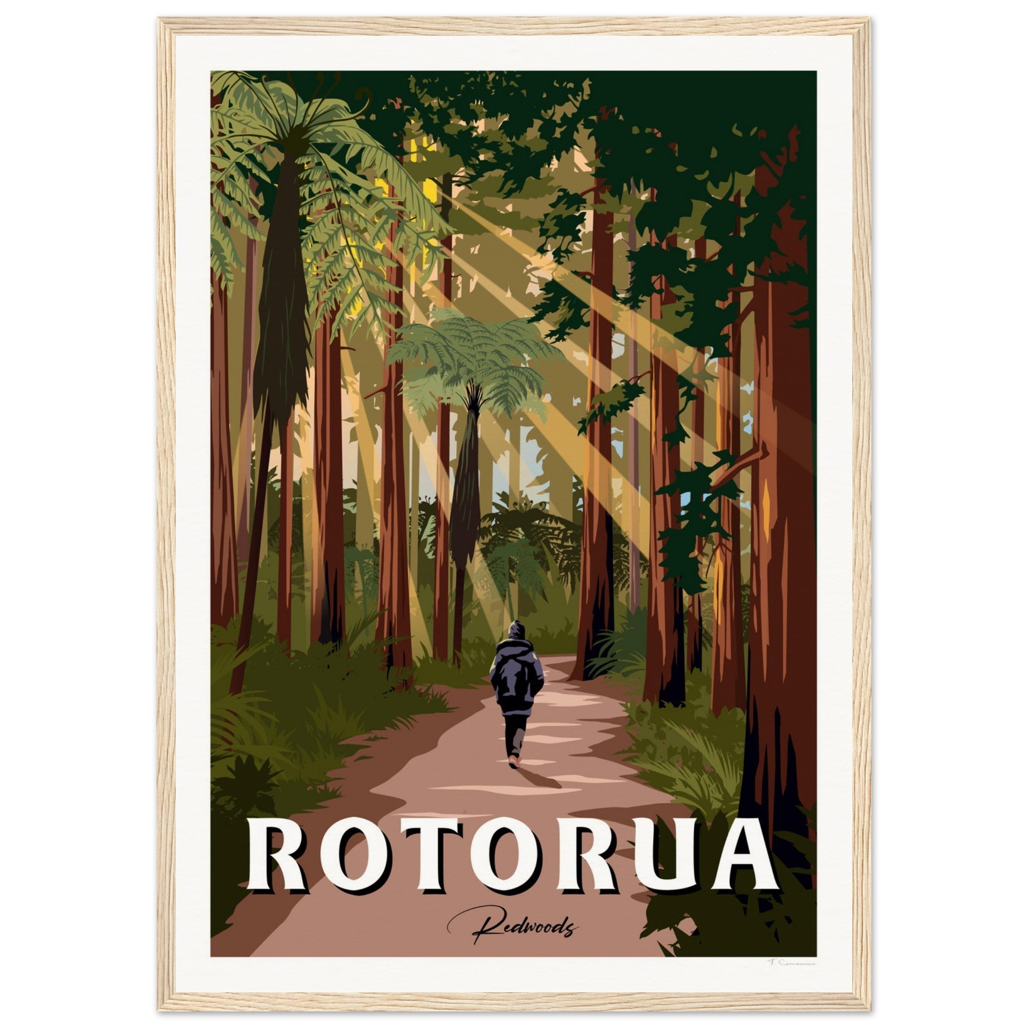 Rotorua Redwood Forest New Zealand Travel Poster