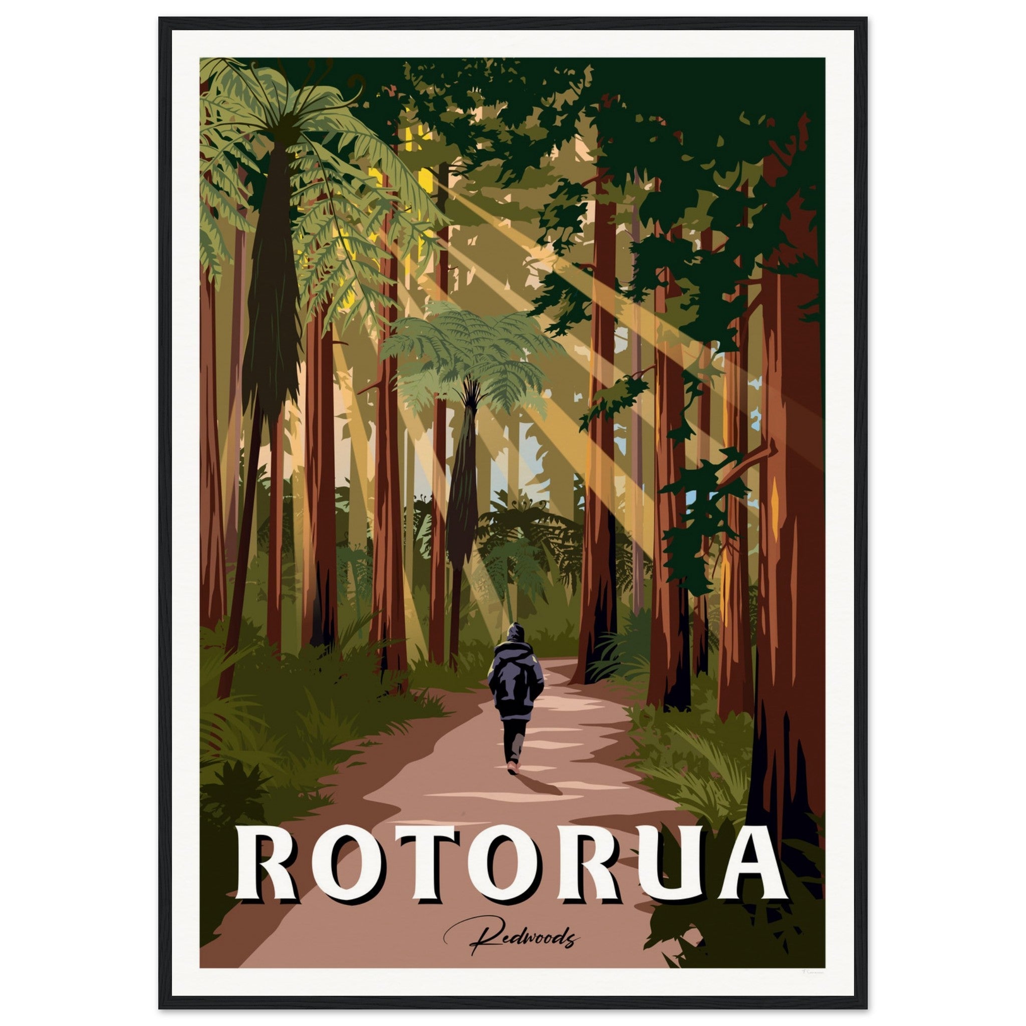 Rotorua Redwood Forest New Zealand Travel Poster