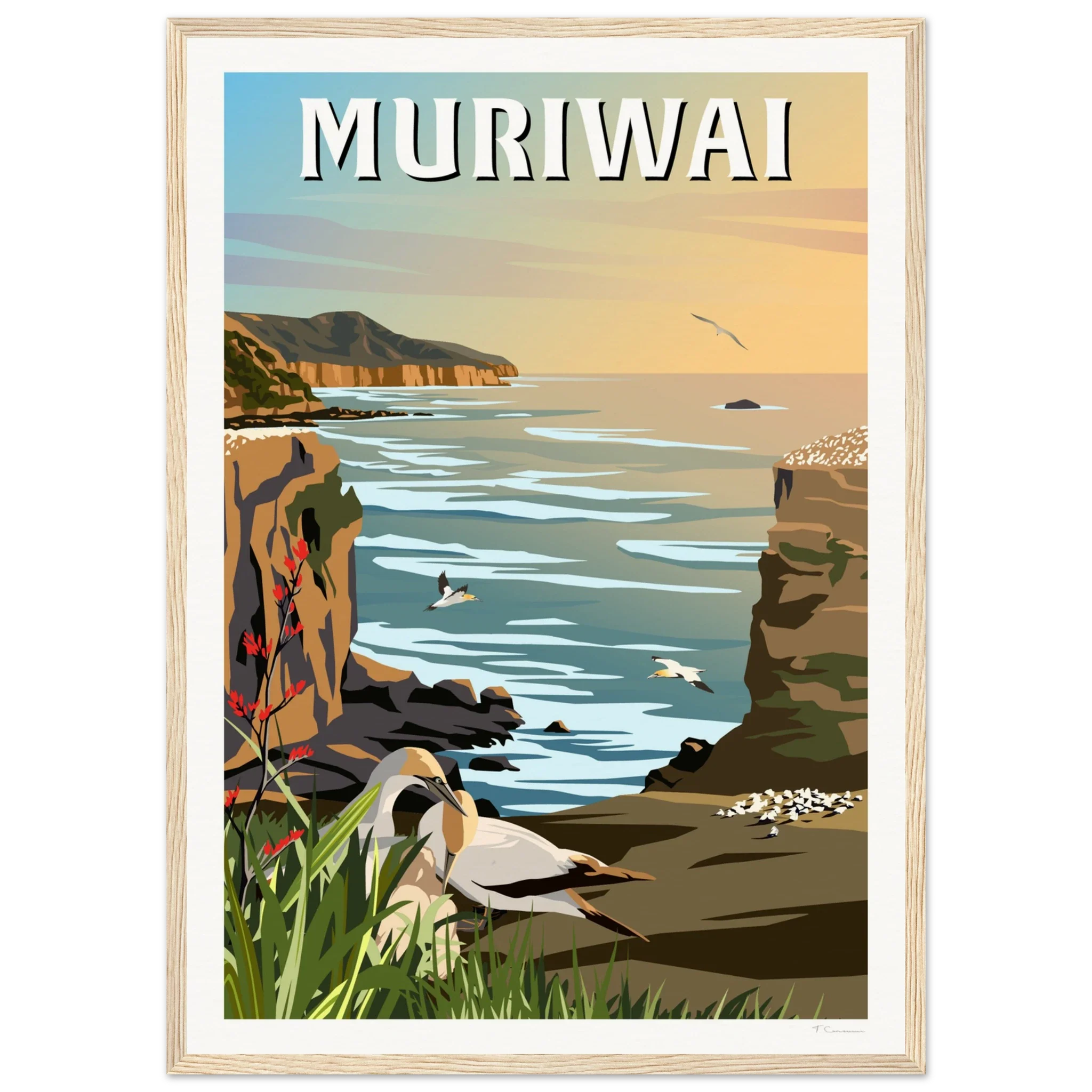 Muriwai Gannet Colony - Travel Poster of New Zealand