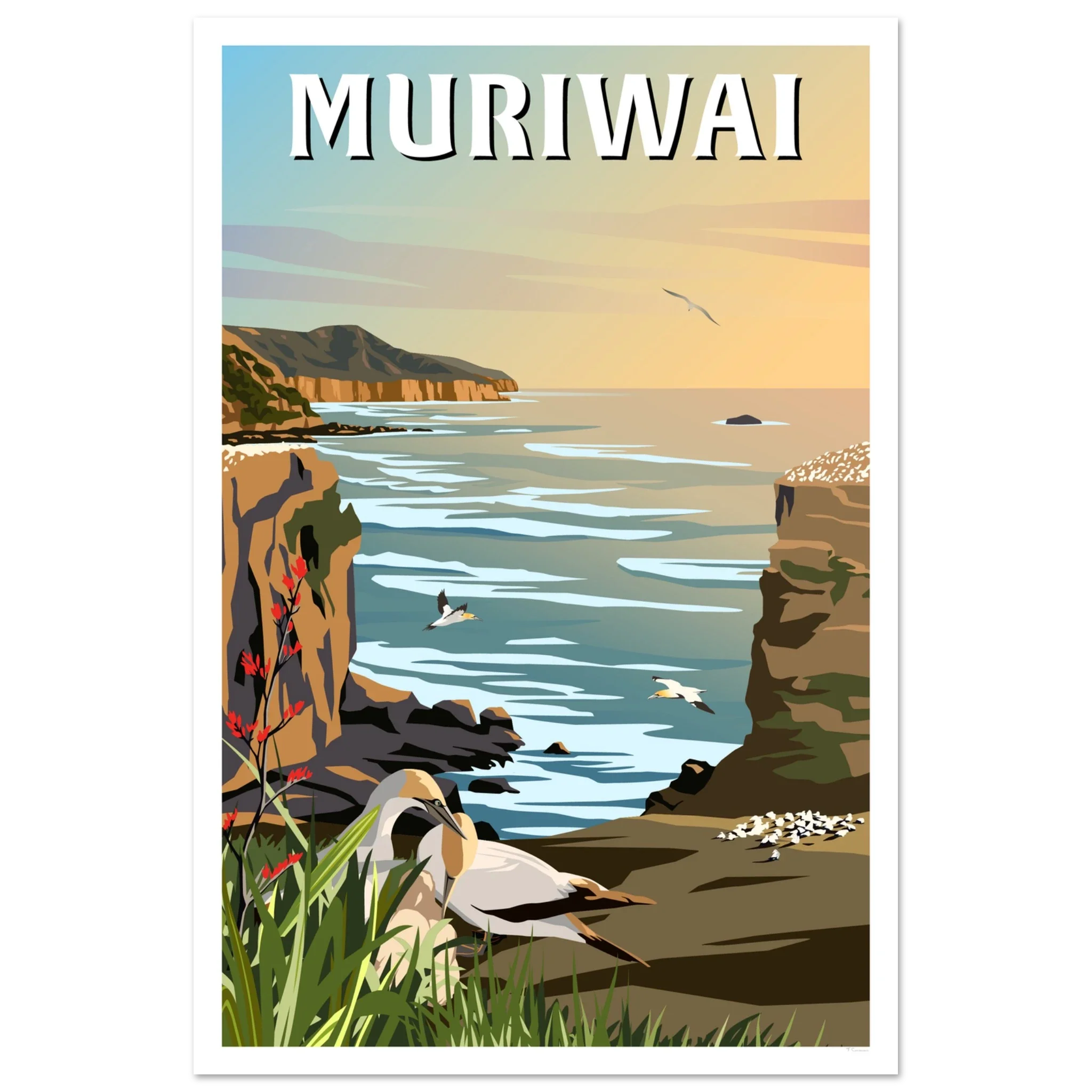 Muriwai Gannet Colony - Travel Poster of New Zealand