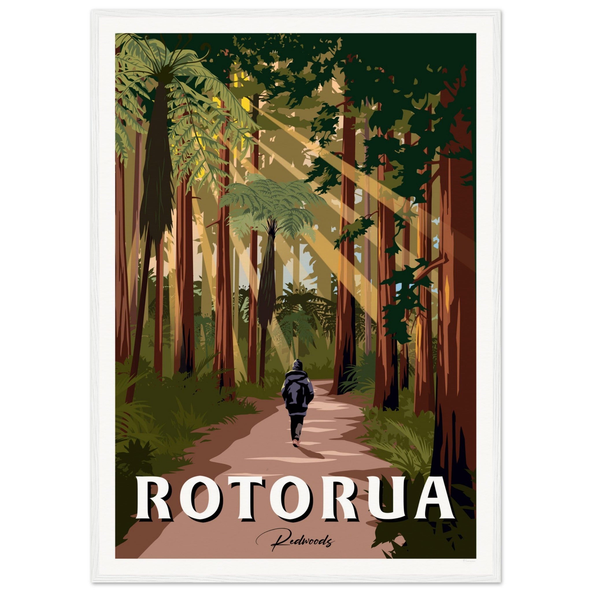 Rotorua Redwood Forest New Zealand Travel Poster