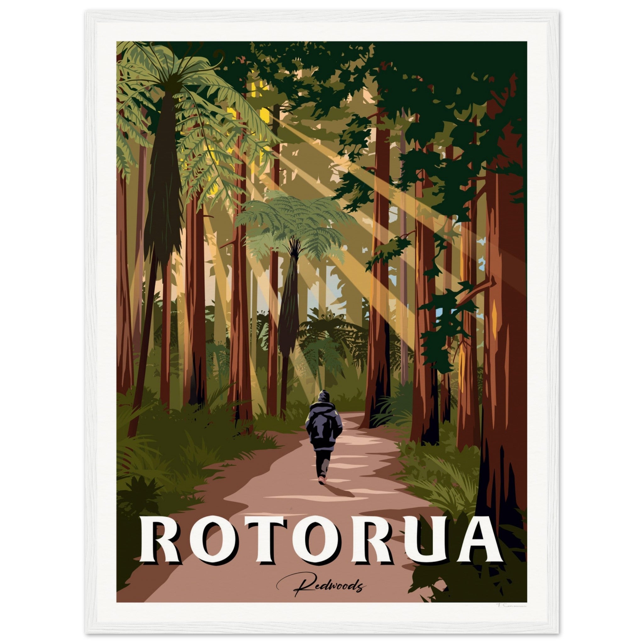 Rotorua Redwood Forest New Zealand Travel Poster