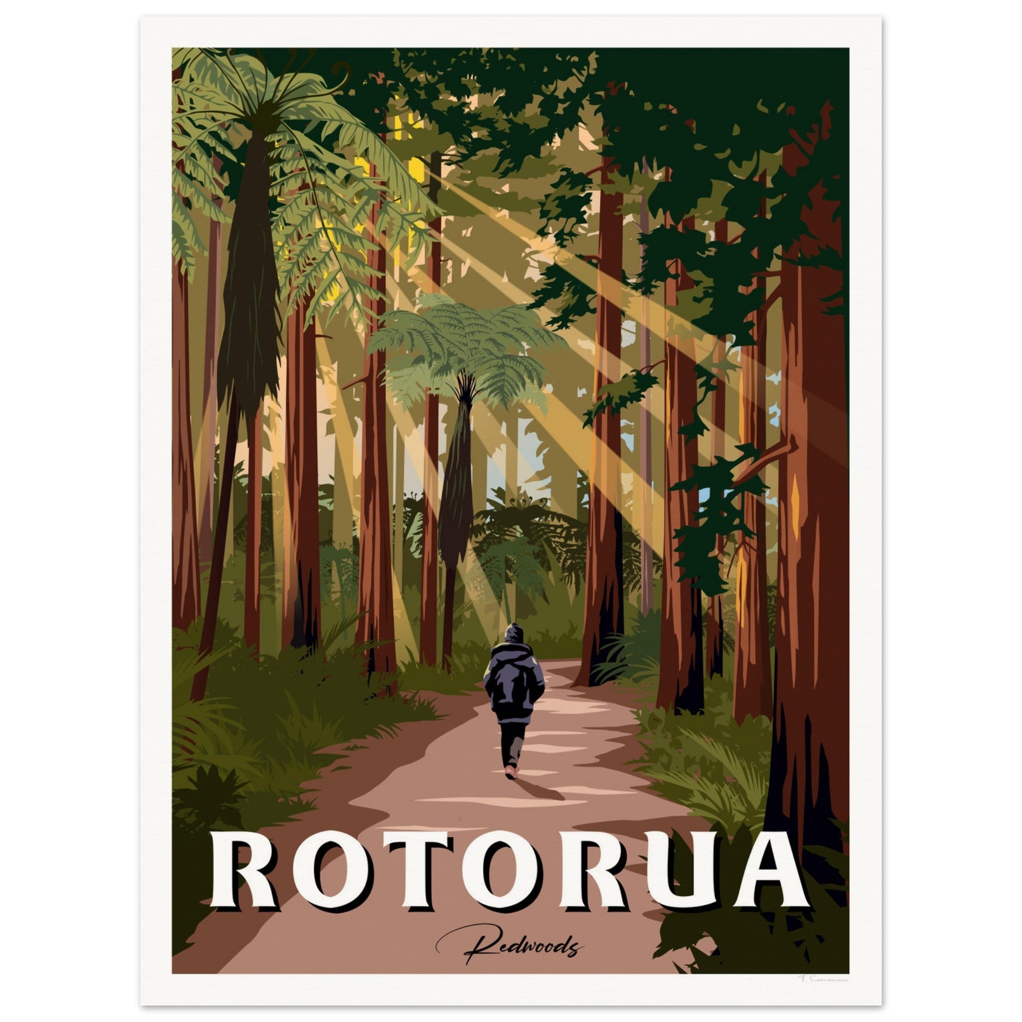Rotorua Redwood Forest New Zealand Travel Poster