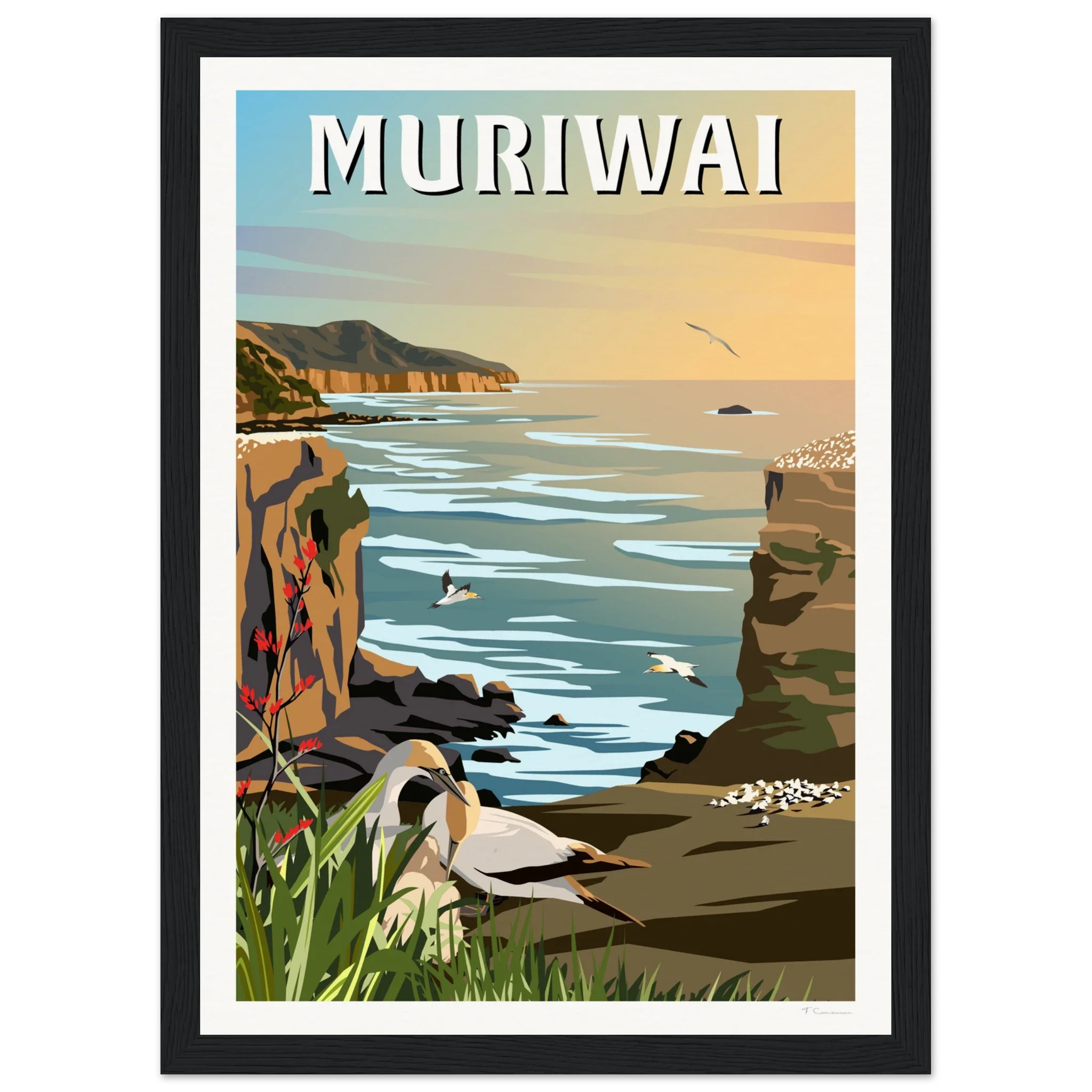 Muriwai Gannet Colony - Travel Poster of New Zealand