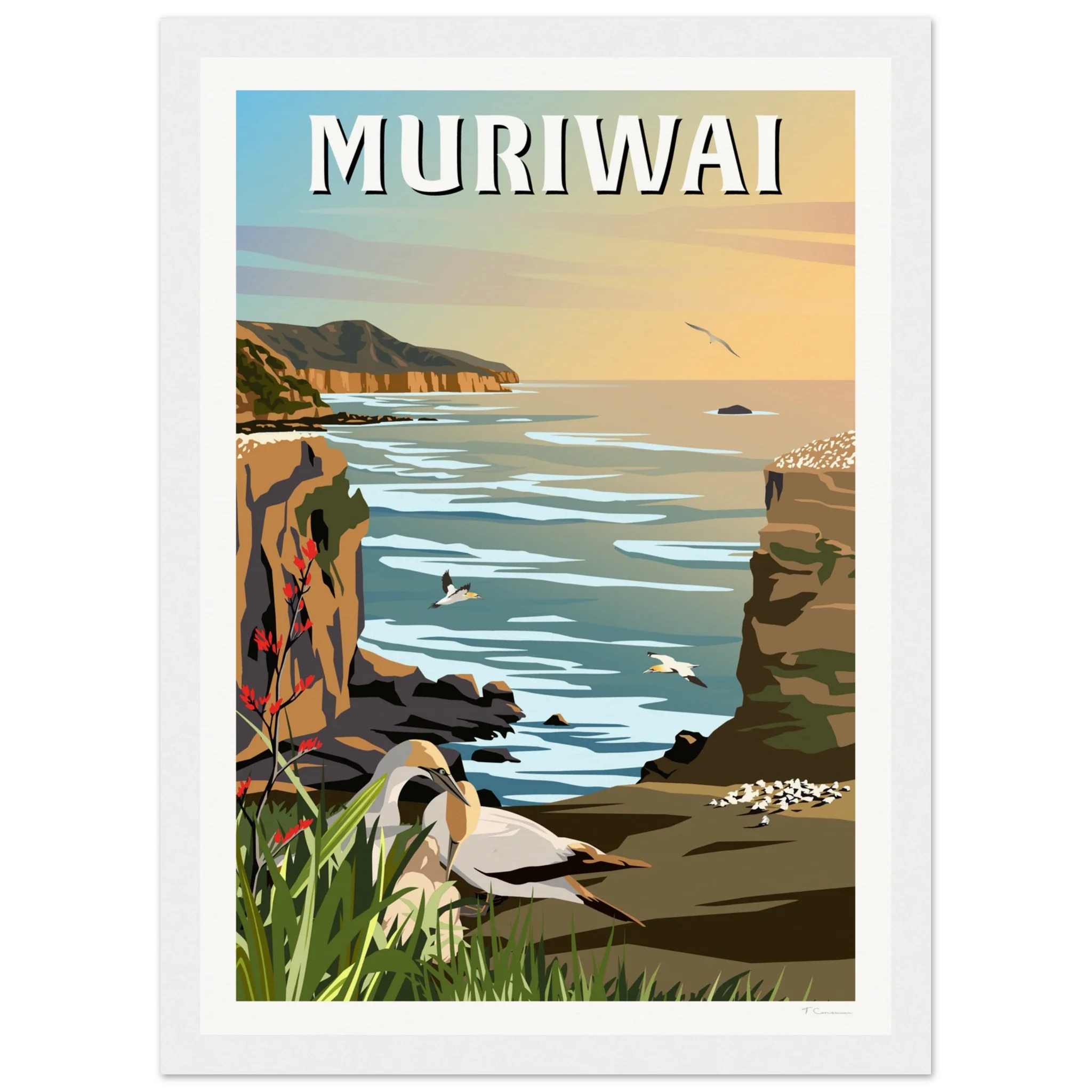 Muriwai Gannet Colony - Travel Poster of New Zealand