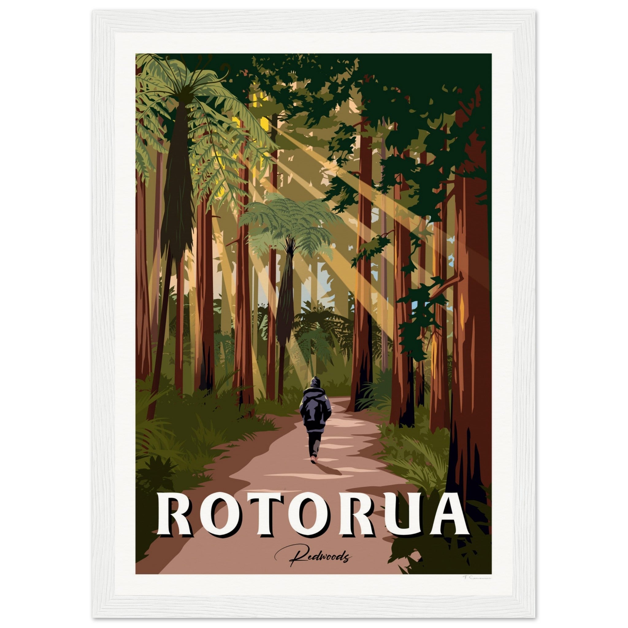Rotorua Redwood Forest New Zealand Travel Poster