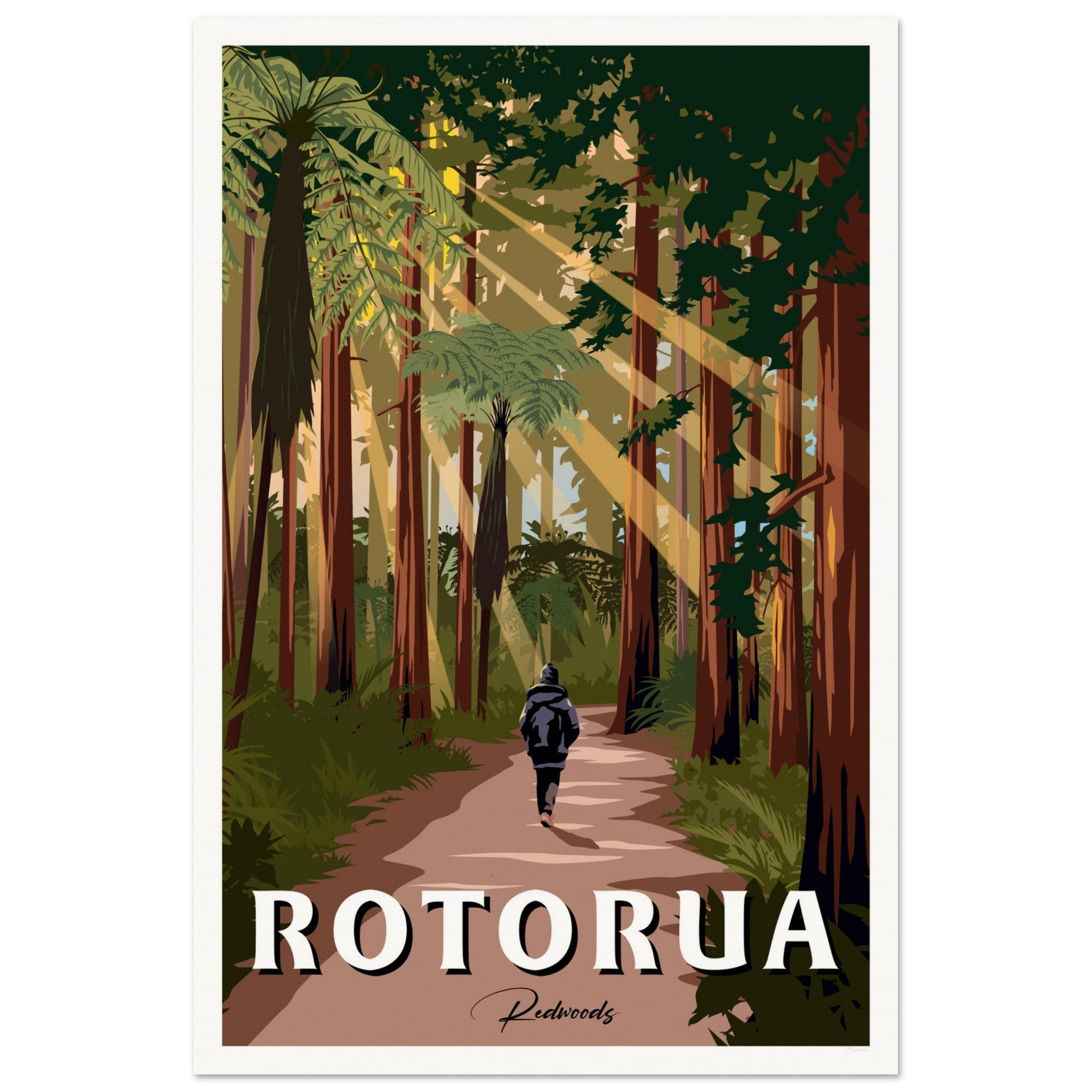 Rotorua Redwood Forest New Zealand Travel Poster