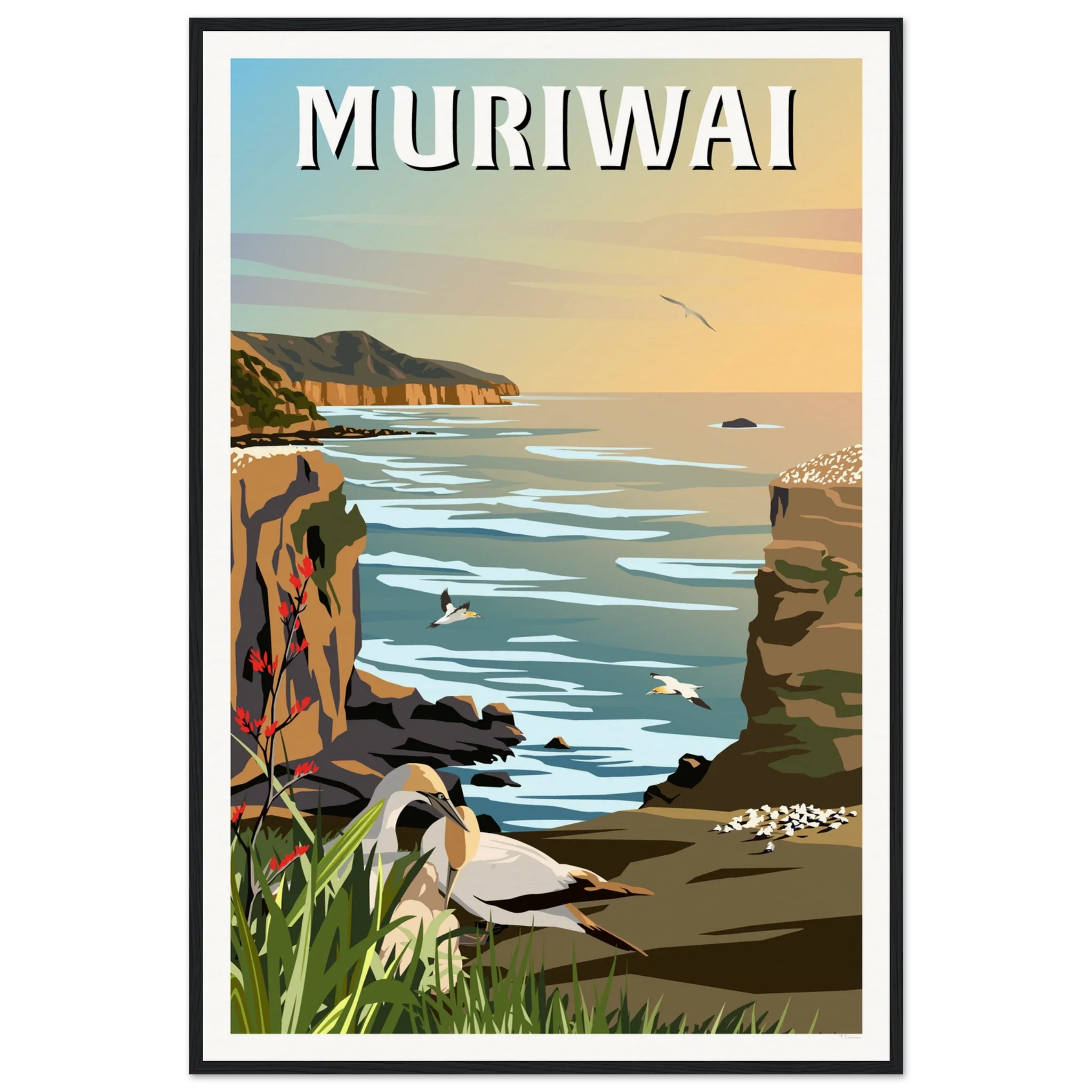 Muriwai Gannet Colony - Travel Poster of New Zealand