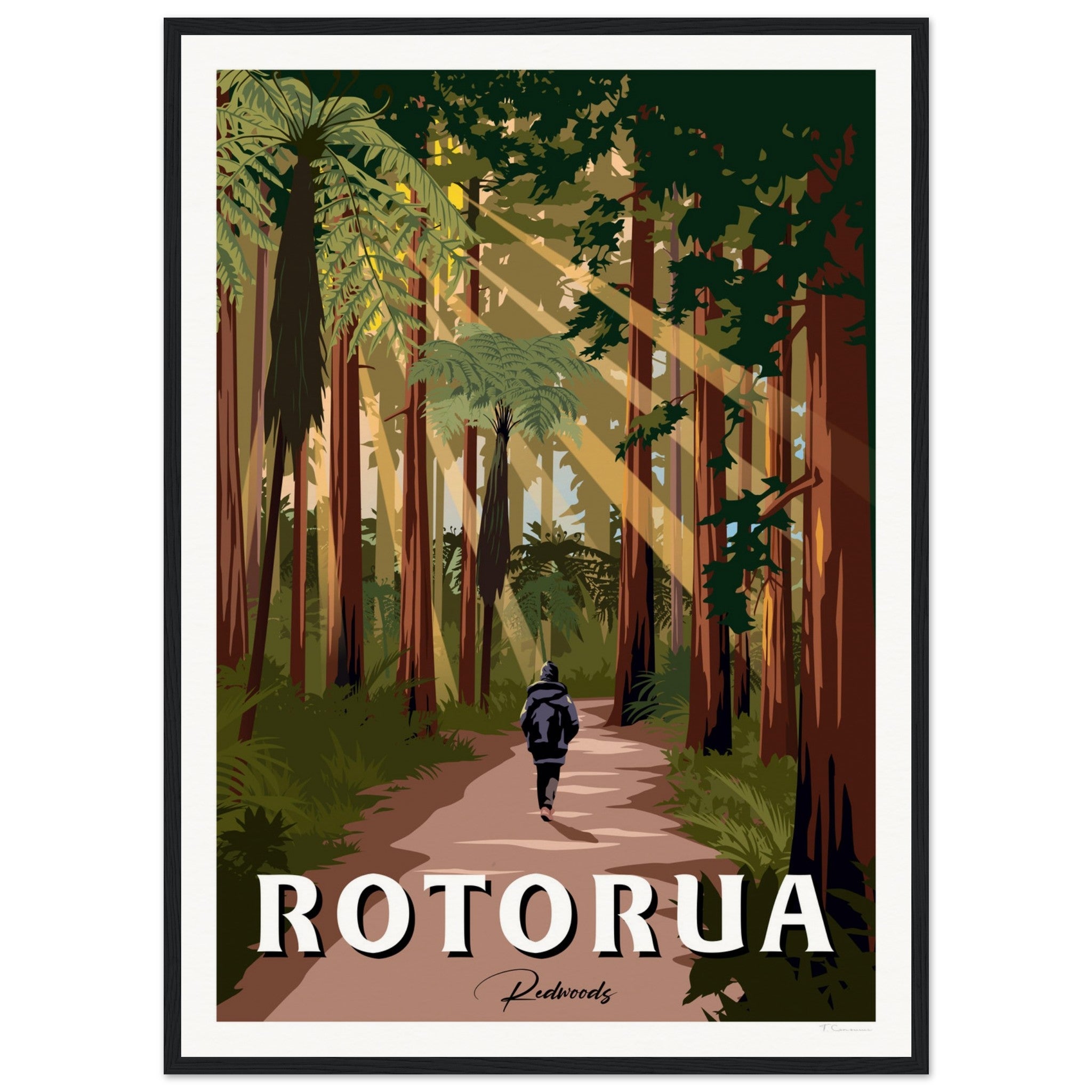 Rotorua Redwood Forest New Zealand Travel Poster