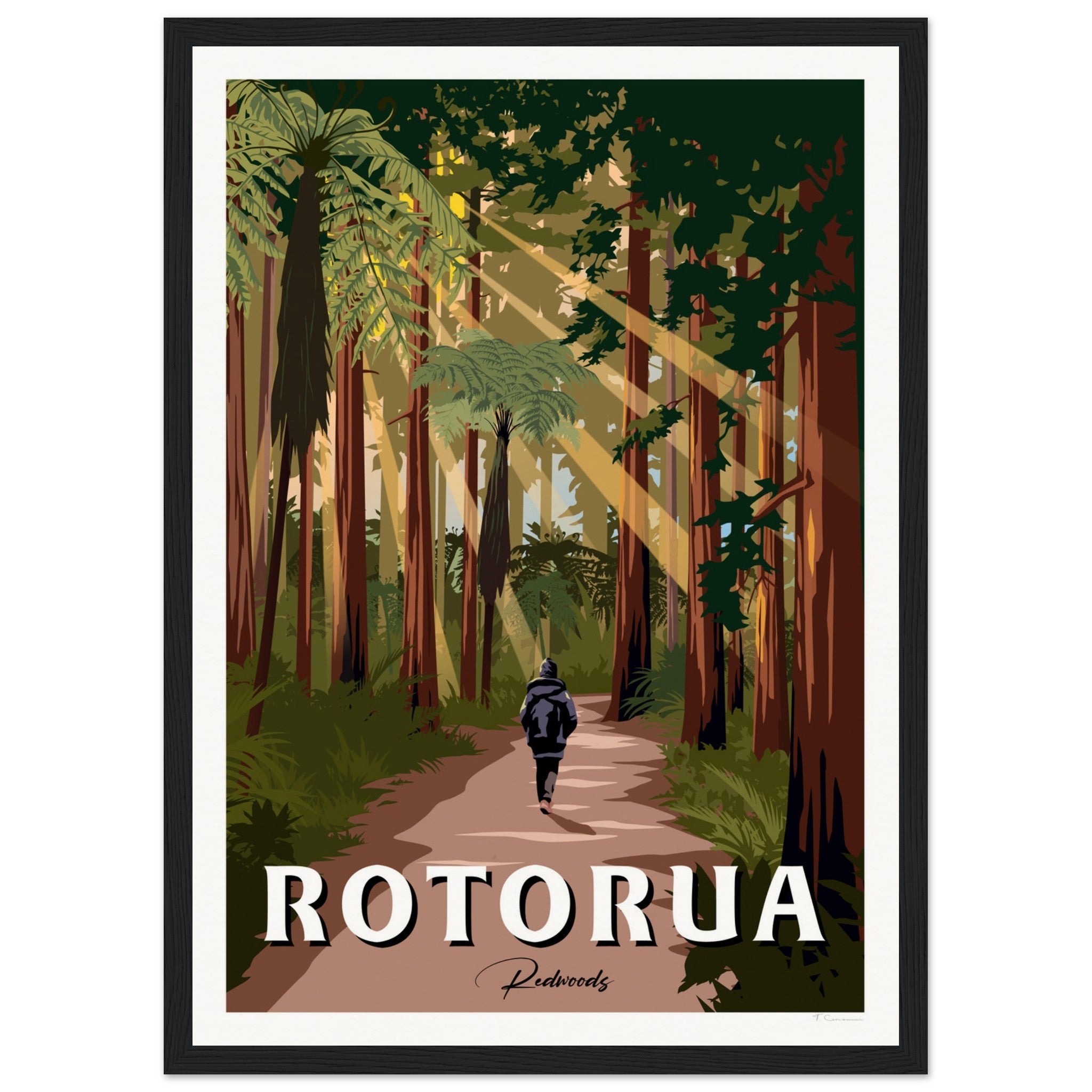 Rotorua Redwood Forest New Zealand Travel Poster