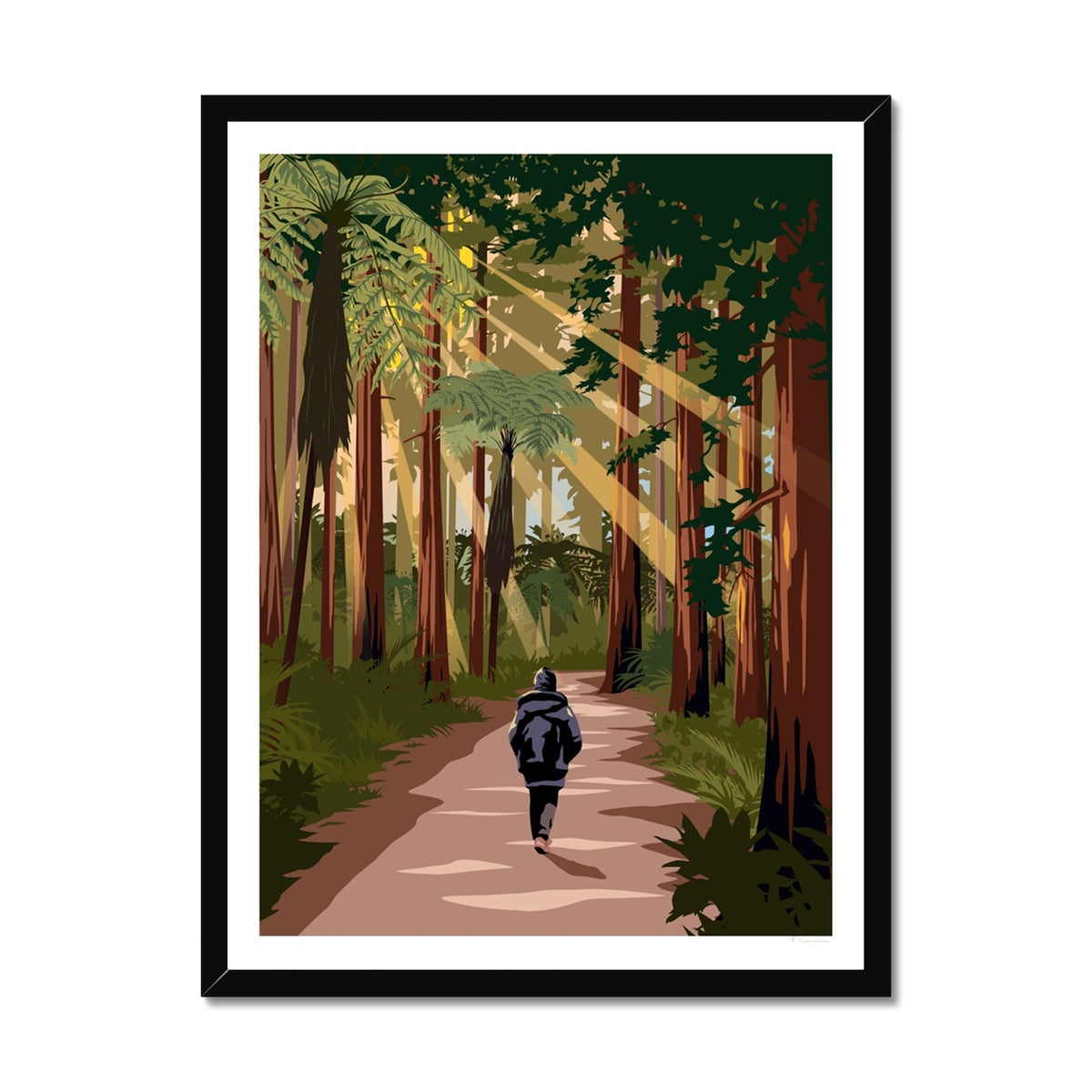 Rotorua Redwood Forest New Zealand Travel Poster