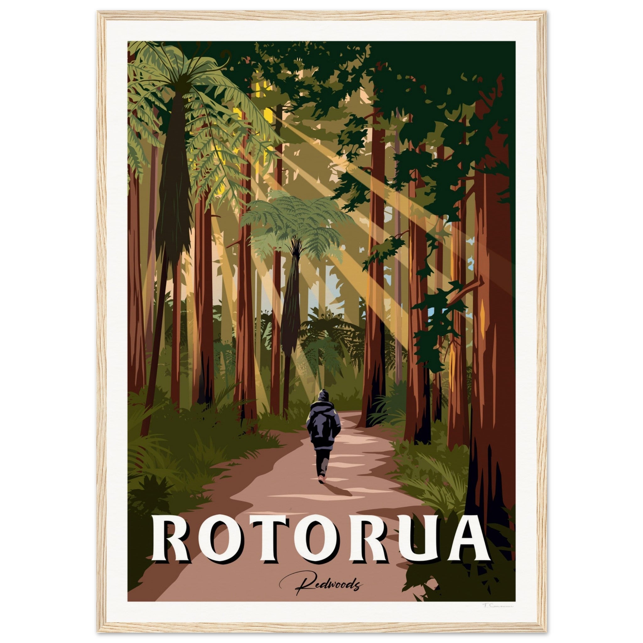 Rotorua Redwood Forest New Zealand Travel Poster