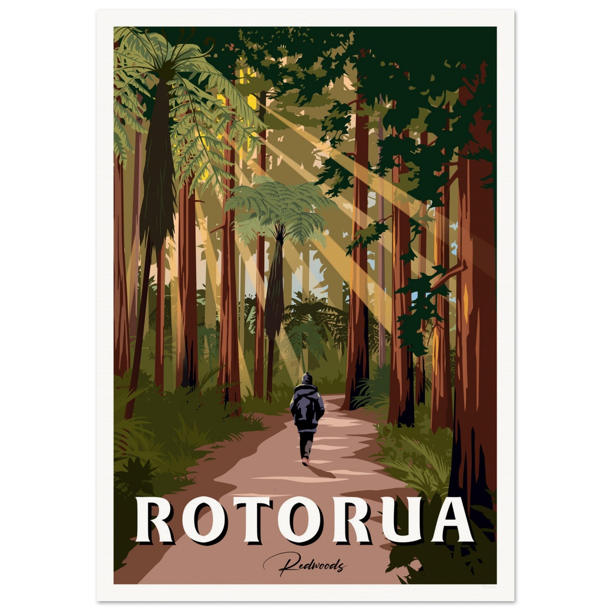 Rotorua Redwood Forest New Zealand Travel Poster