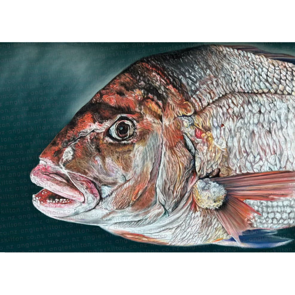 Angie Skilton Snapper Greetings Card