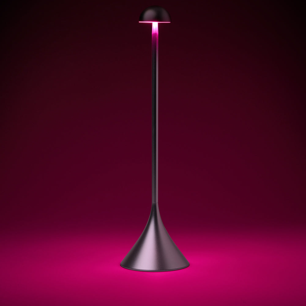 Lexon Steli Dome Rechargeable Lamp - Aluminium