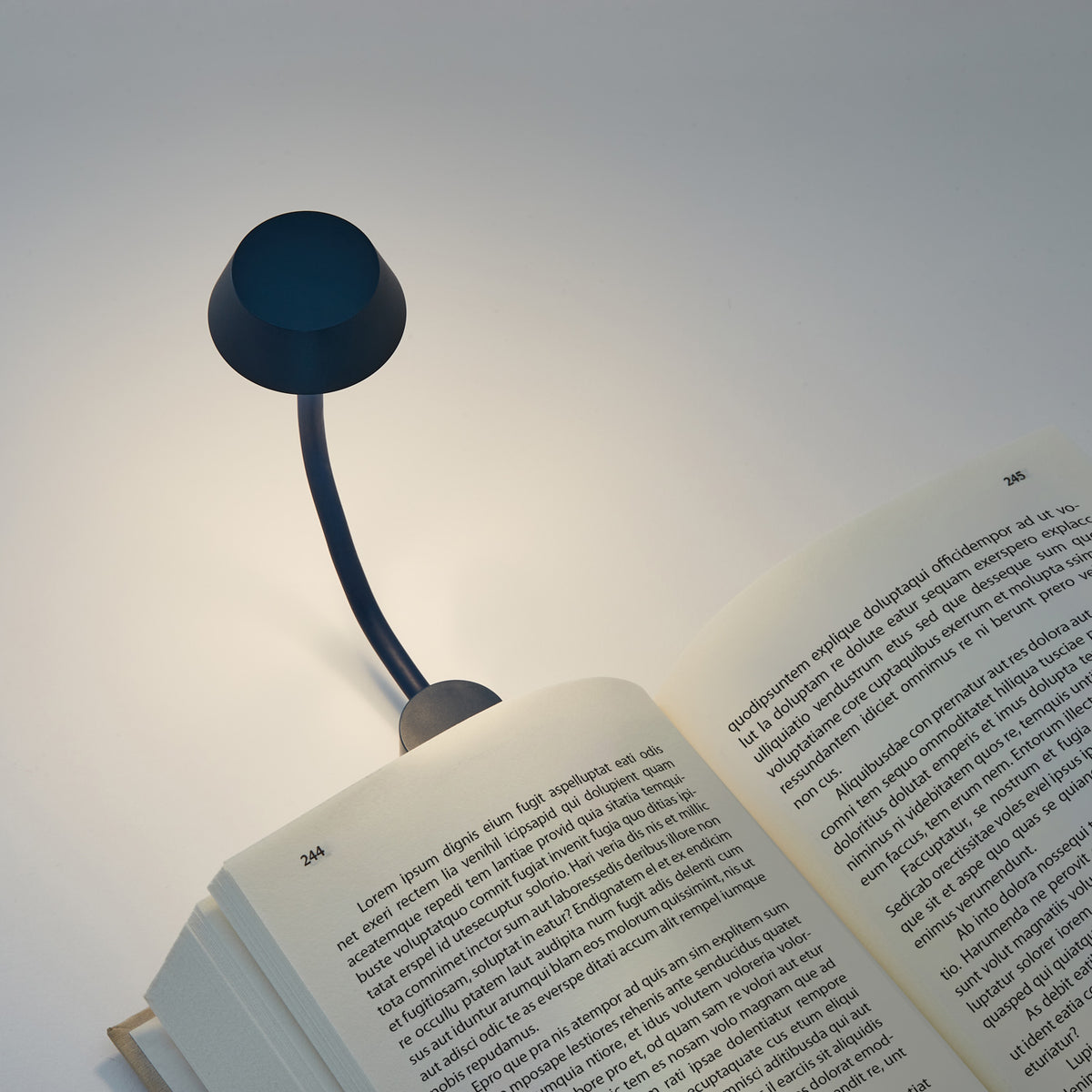 Lexon Clip-on Book Light