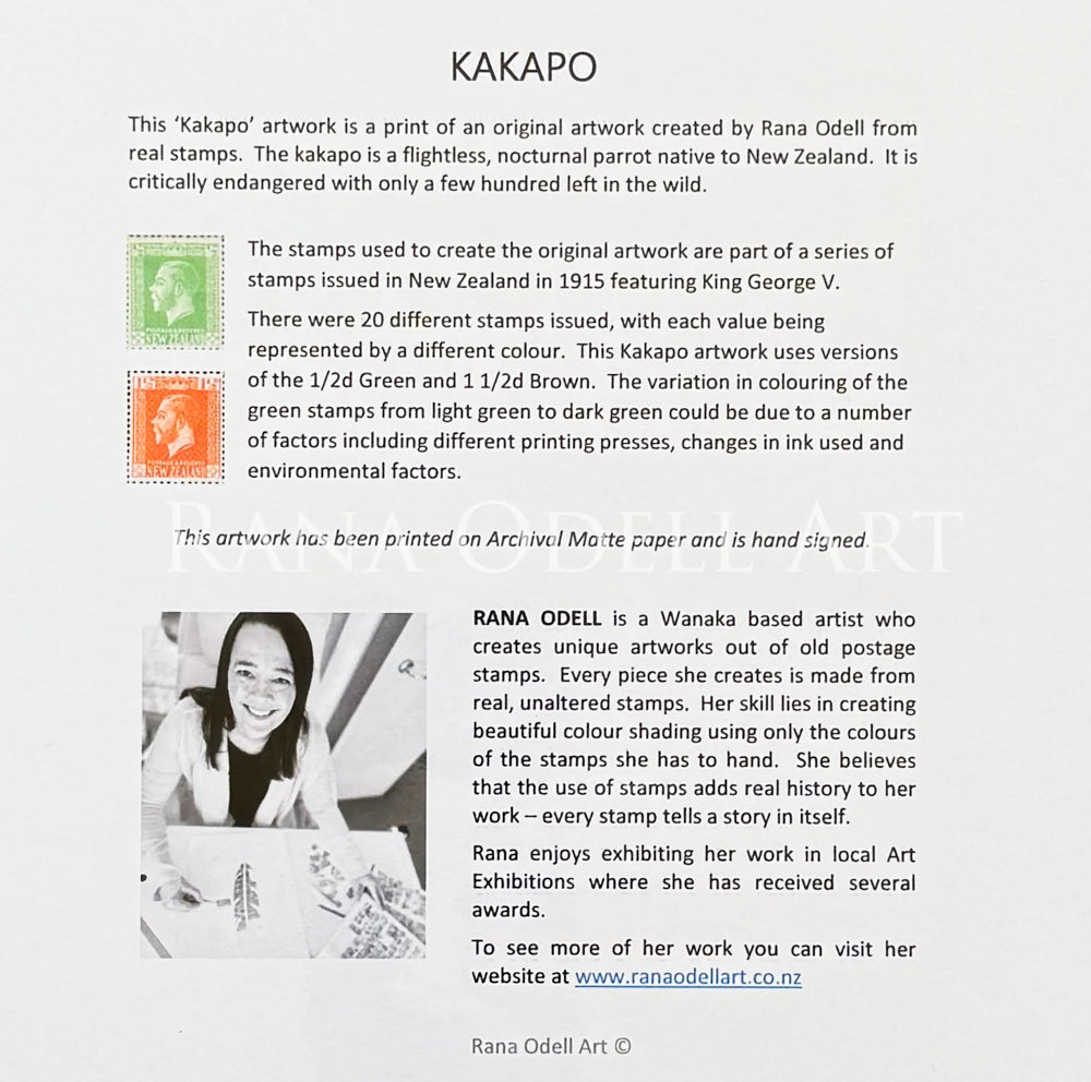 Rana Odell Art A4 Kakapo Print