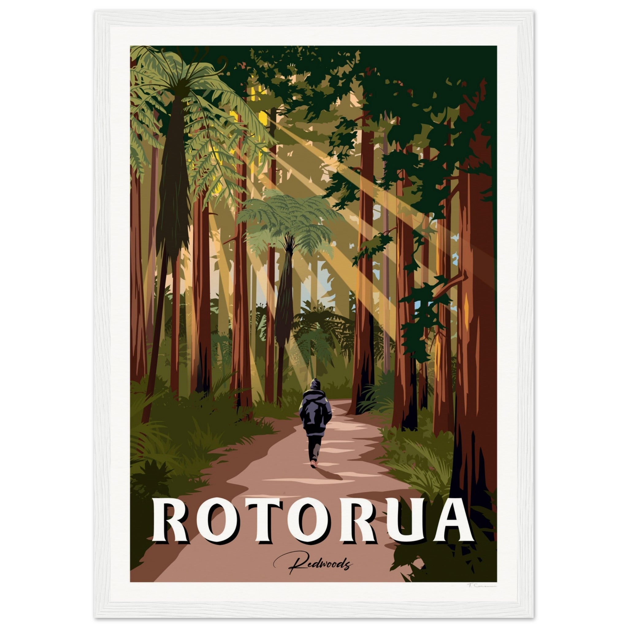 Rotorua Redwood Forest New Zealand Travel Poster