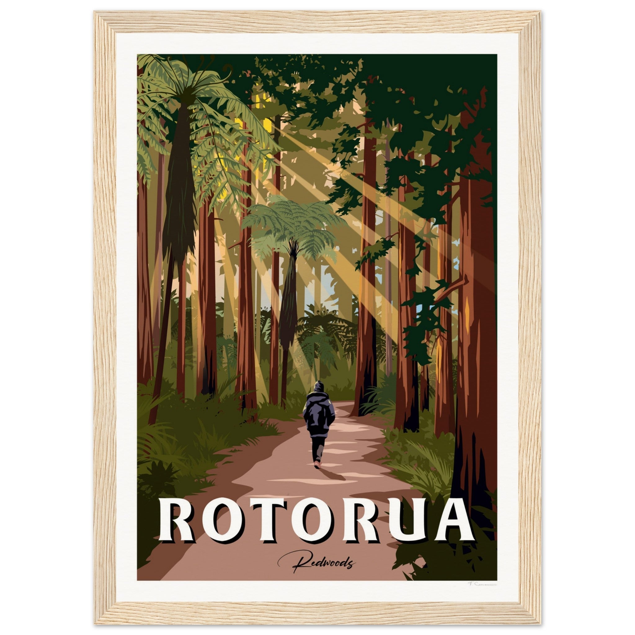 Rotorua Redwood Forest New Zealand Travel Poster