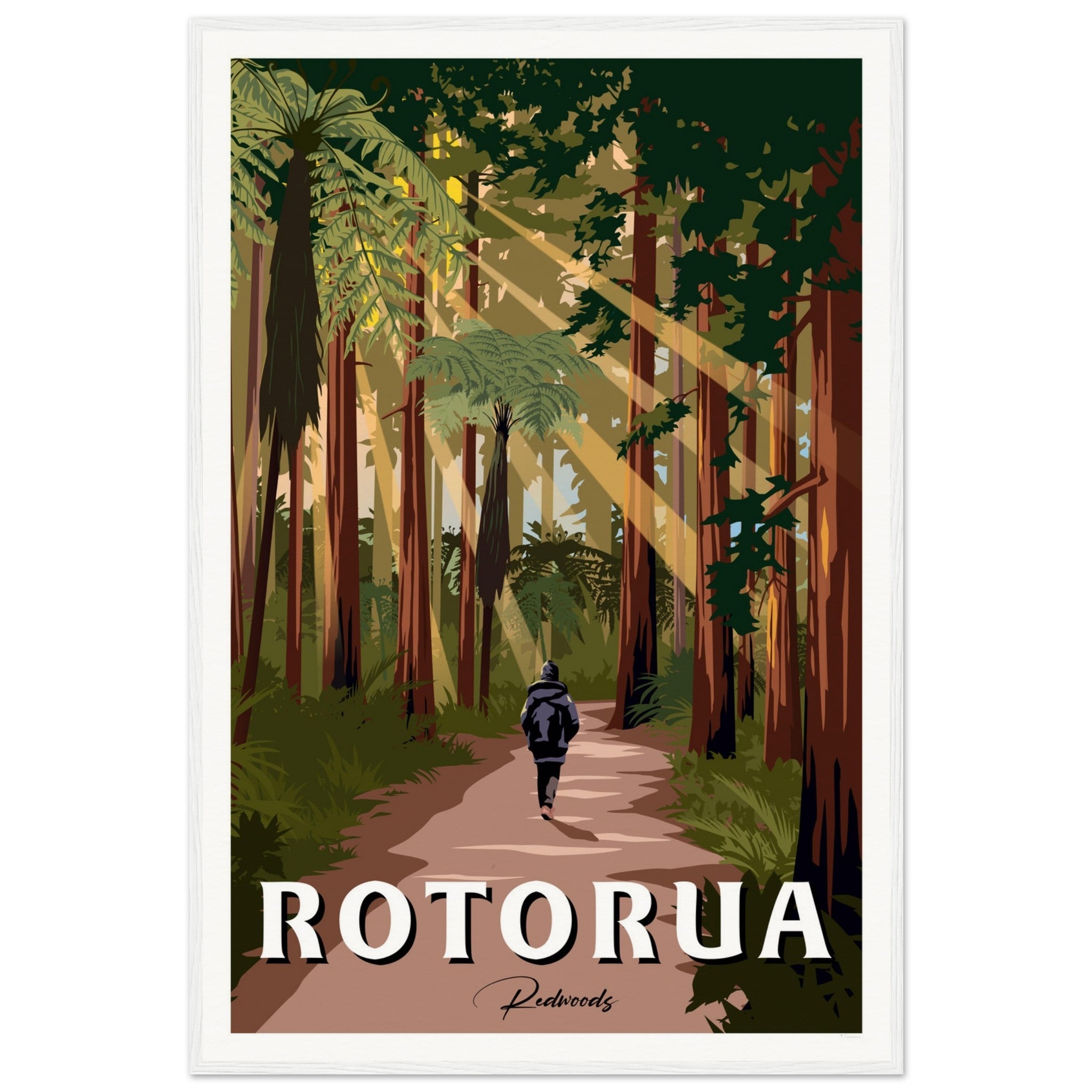 Rotorua Redwood Forest New Zealand Travel Poster