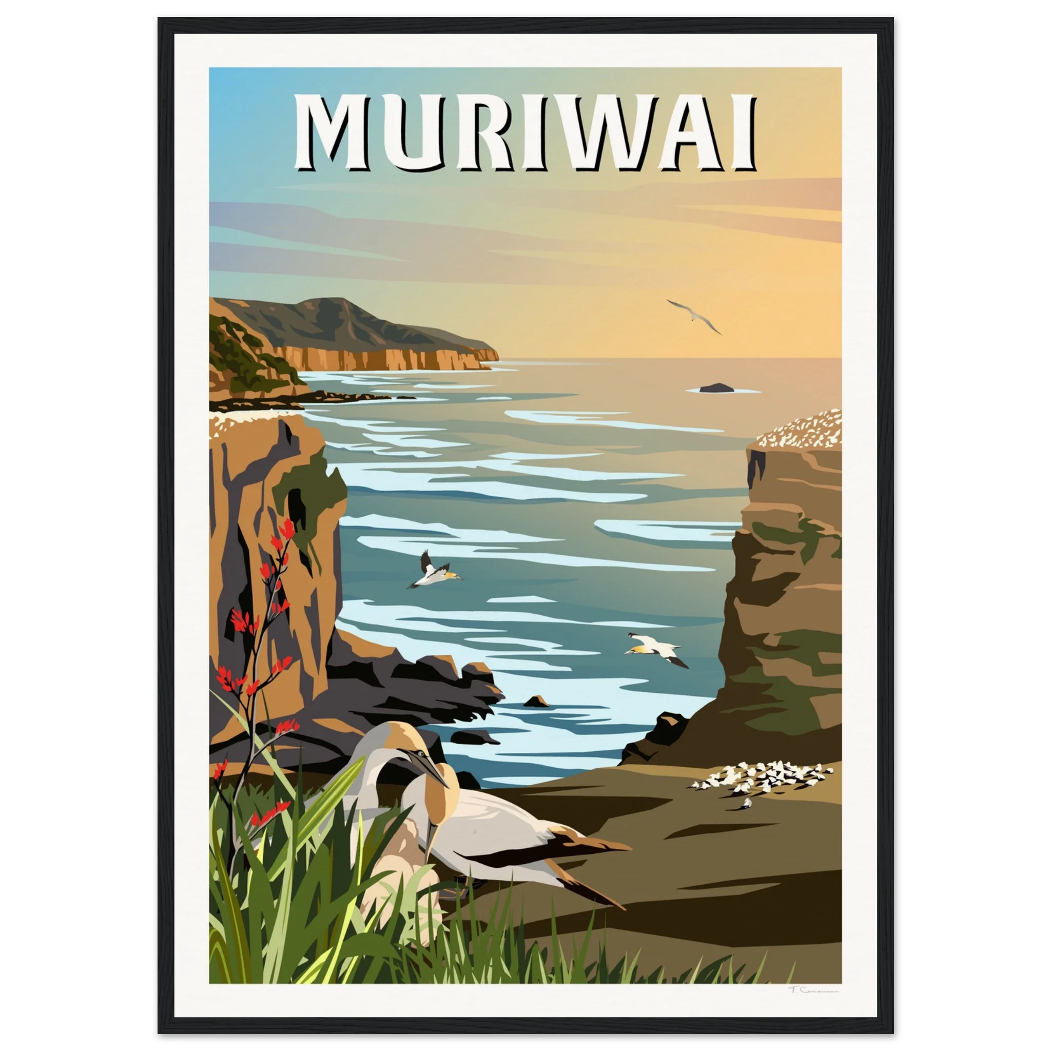 Muriwai Gannet Colony - Travel Poster of New Zealand