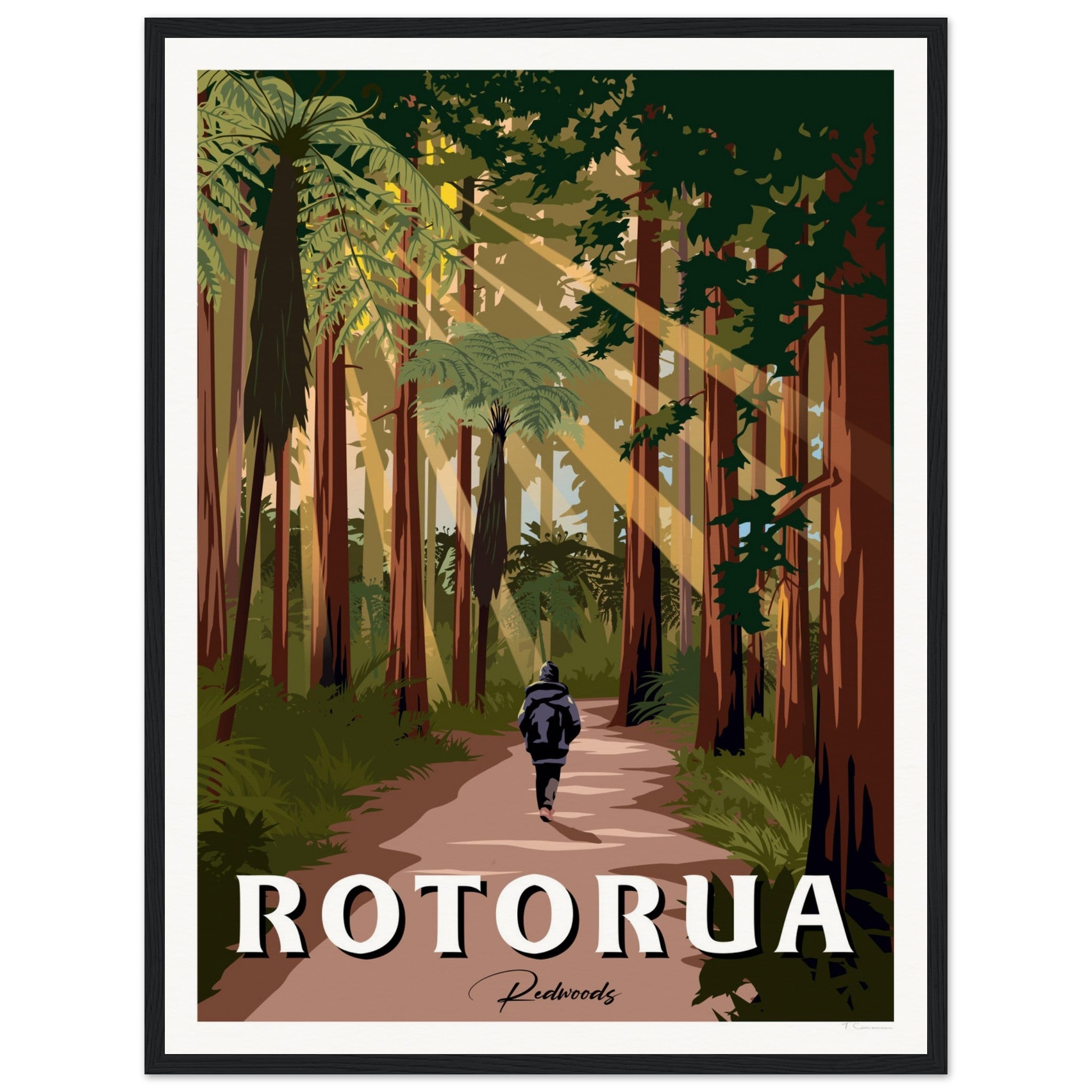 Rotorua Redwood Forest New Zealand Travel Poster